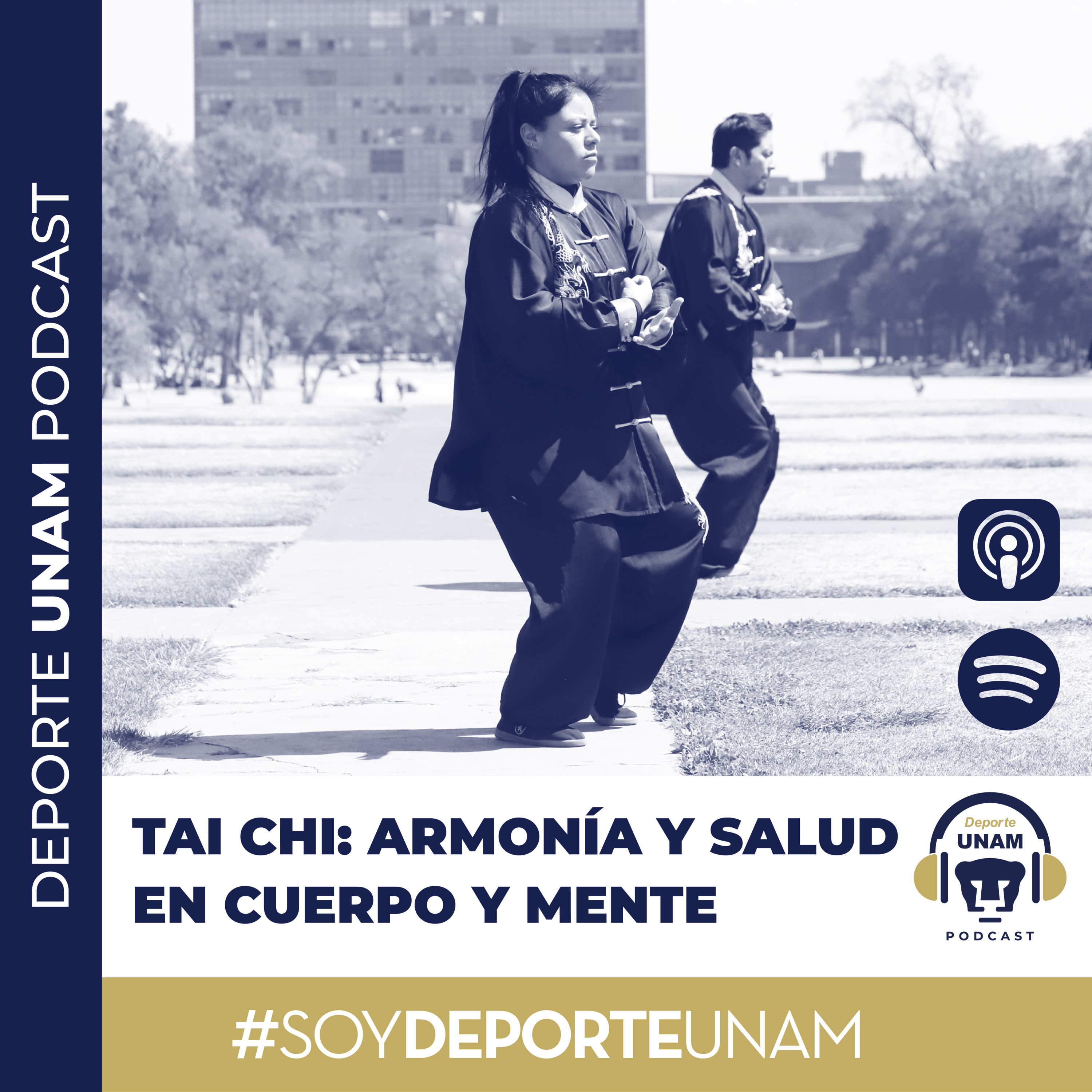 Tai Chi: Armonía y salud en Cuerpo y Mente episode artwork