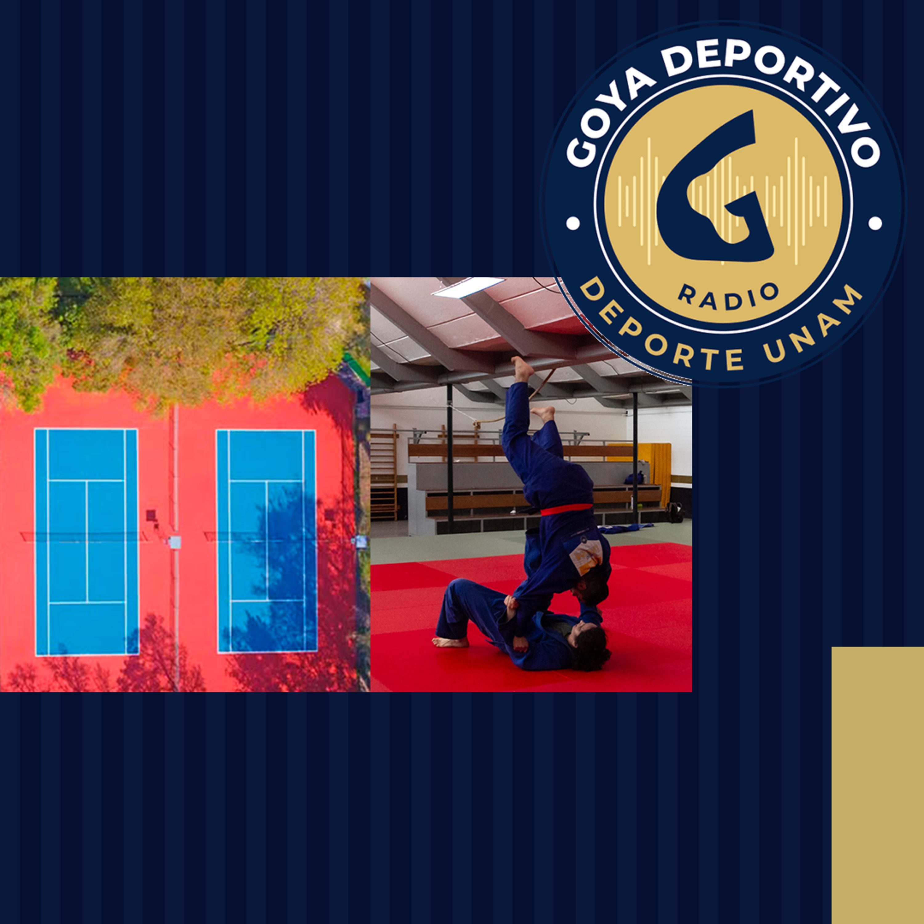 Goya Deportivo: Rehabilitación de 36 espacios para la práctica deportiva episode artwork