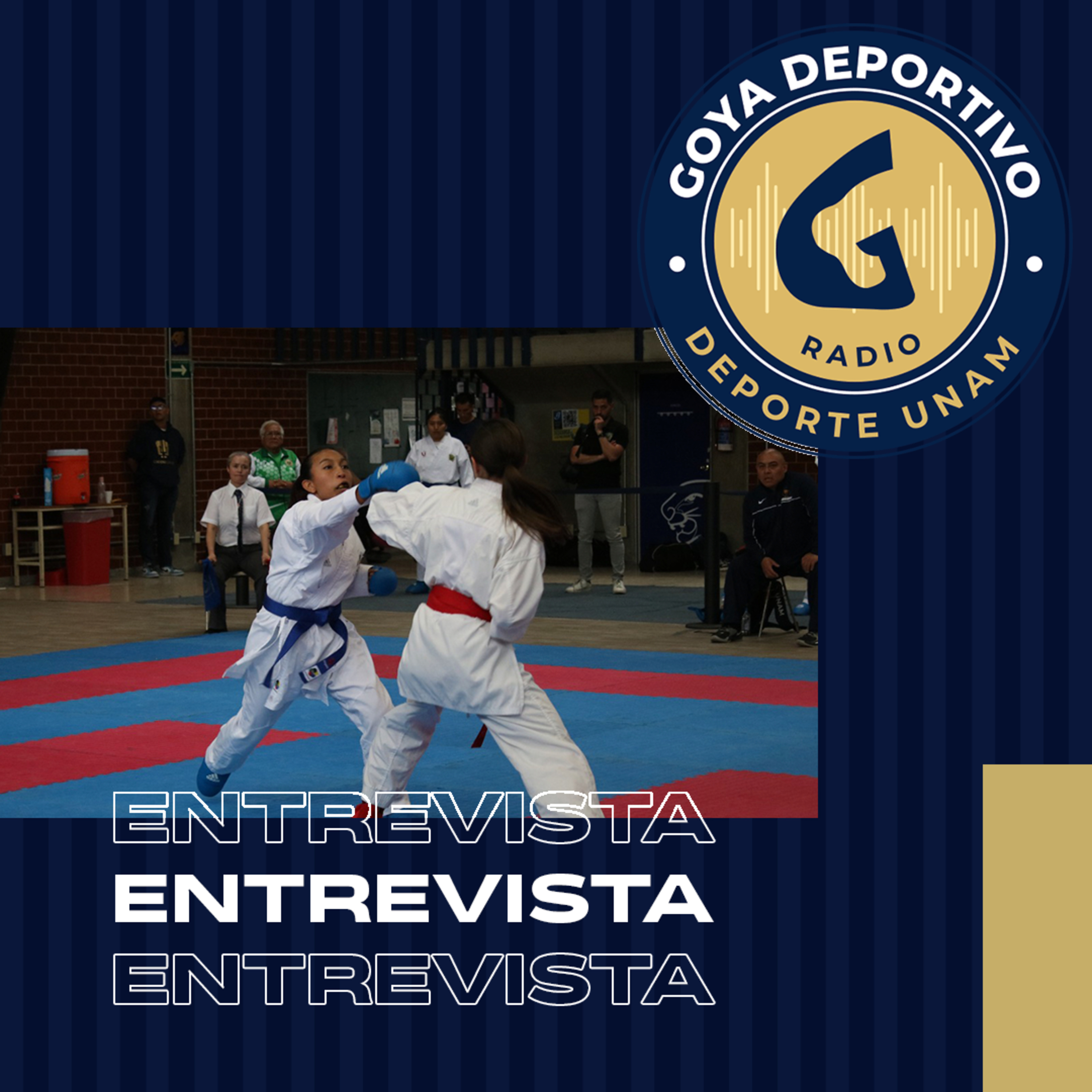 Goya Deportivo: Karate Do Selectivo Nacional de Karate 2025 episode artwork