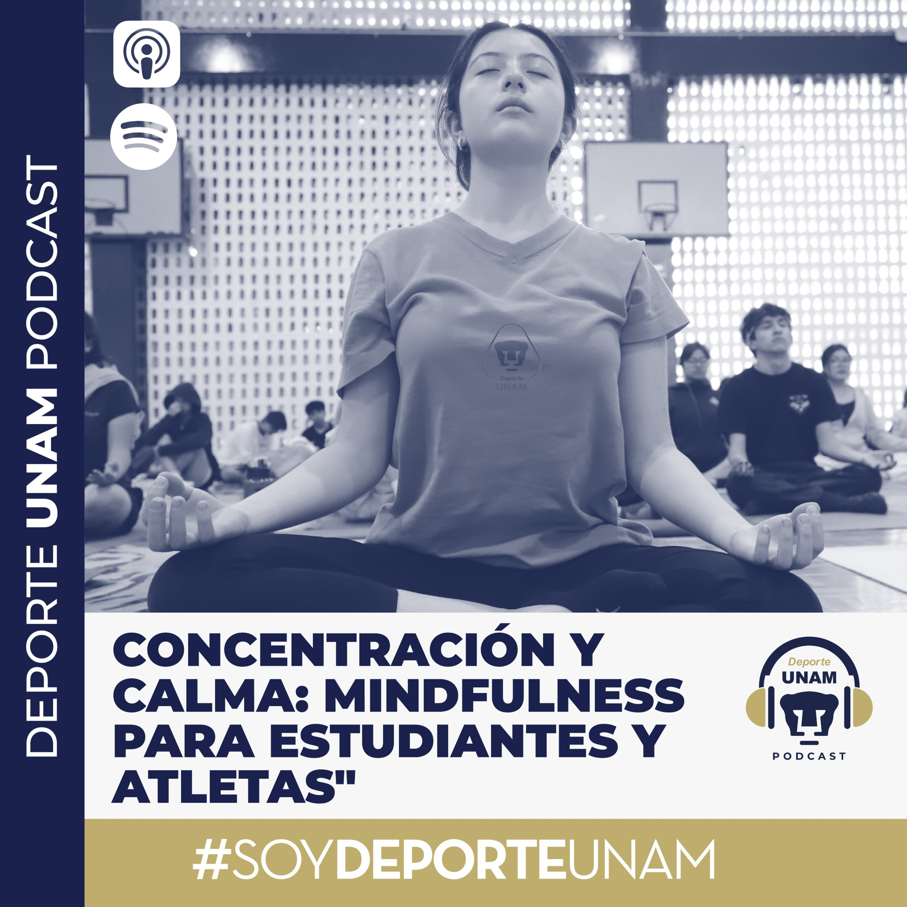 Concentración y Calma: Mindfulness para Estudiantes y Atletas episode artwork