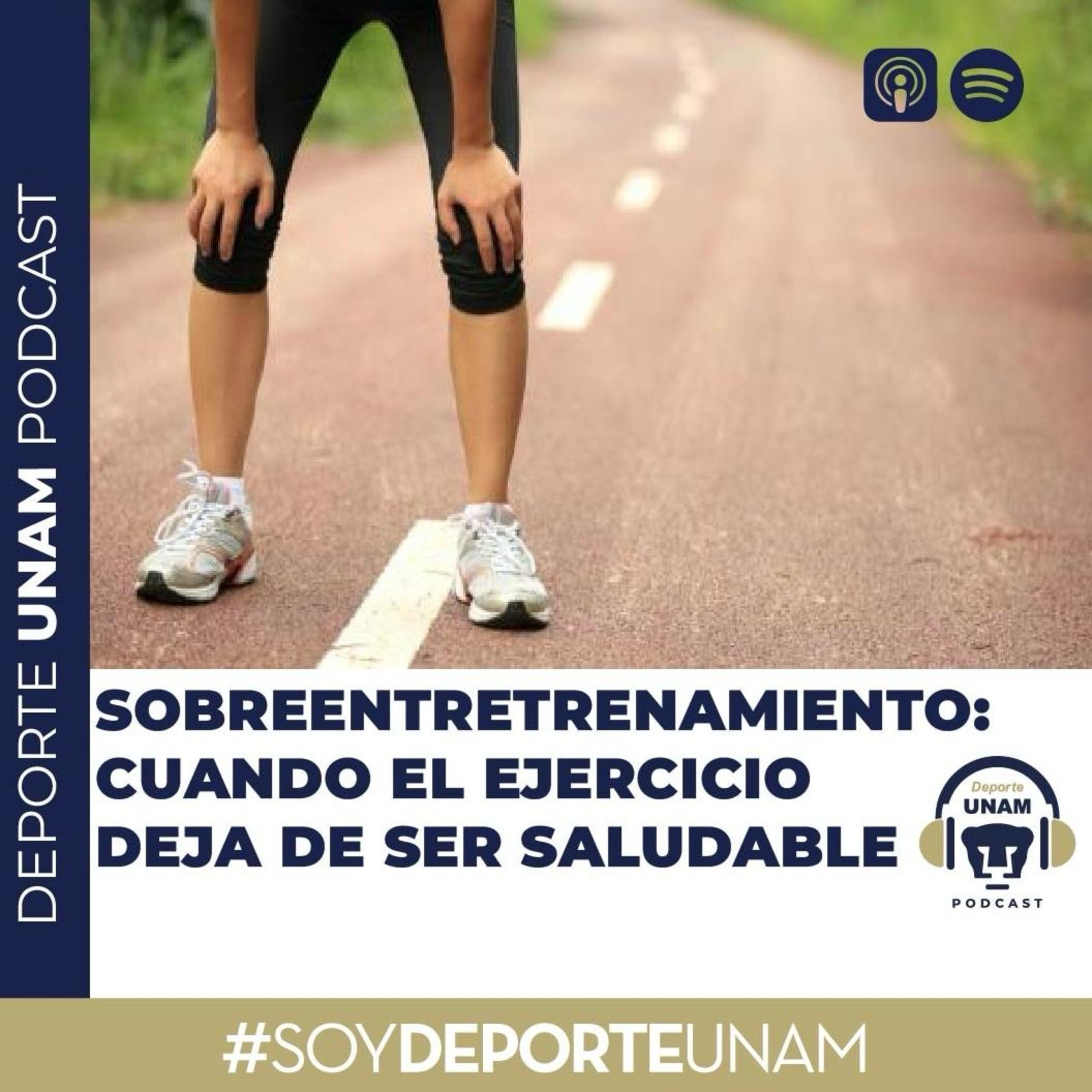 Sobreentrenamiento: Cuando el ejercicio deja de ser saludable episode artwork