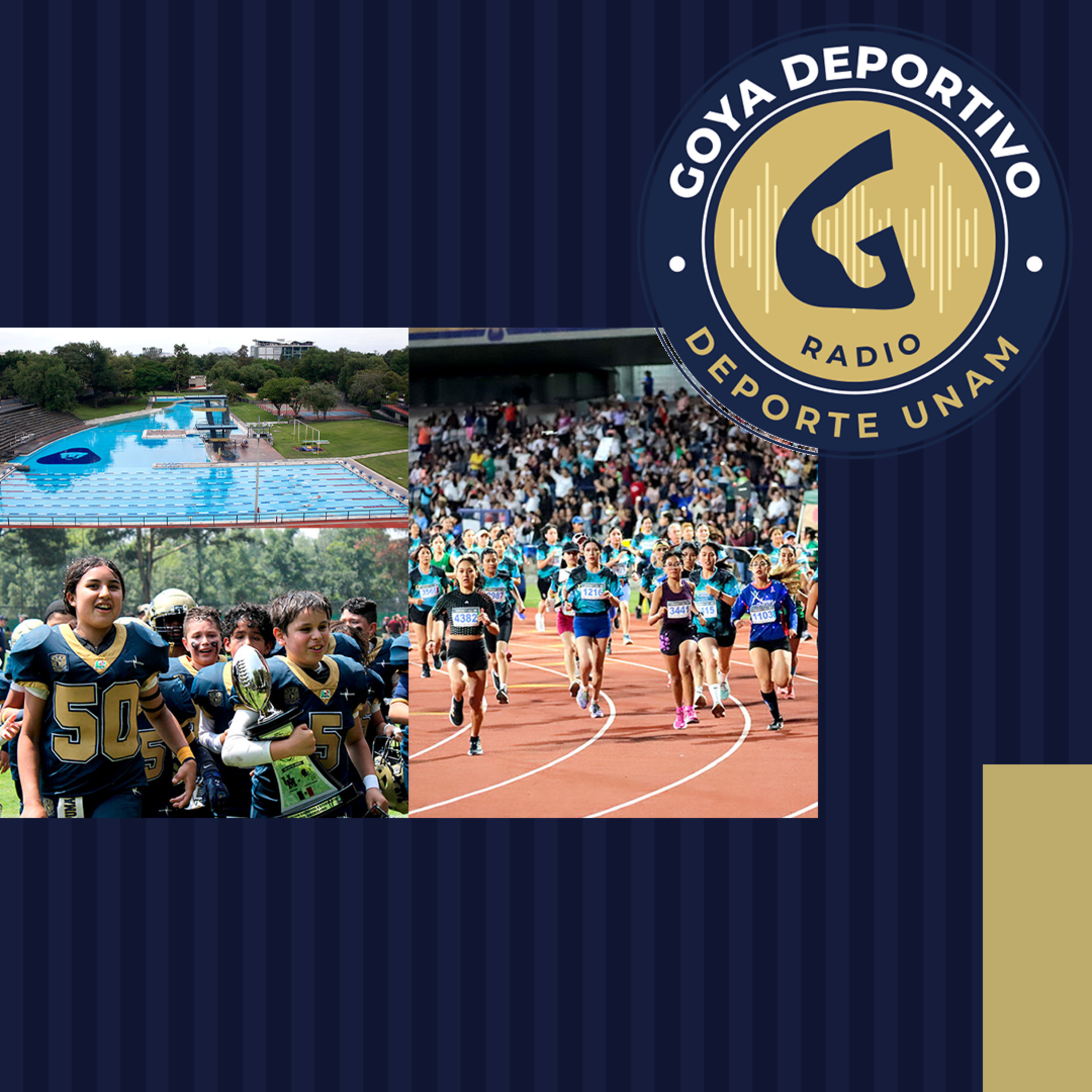 Goya Deportivo: Oferta Deportiva 2025