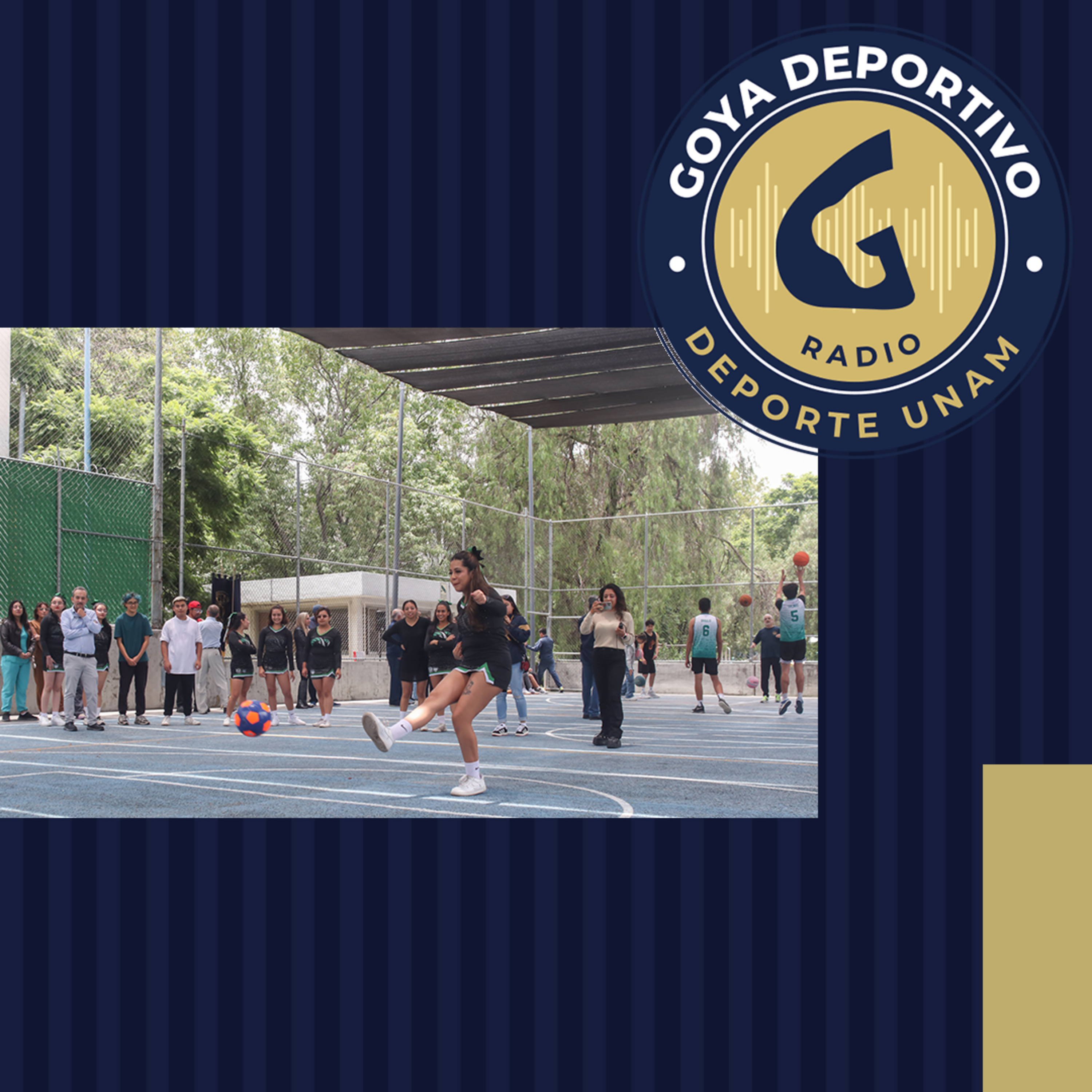 Goya Deportivo: Techumbre Facultad de Medicina Veterinaria y Zootecnia