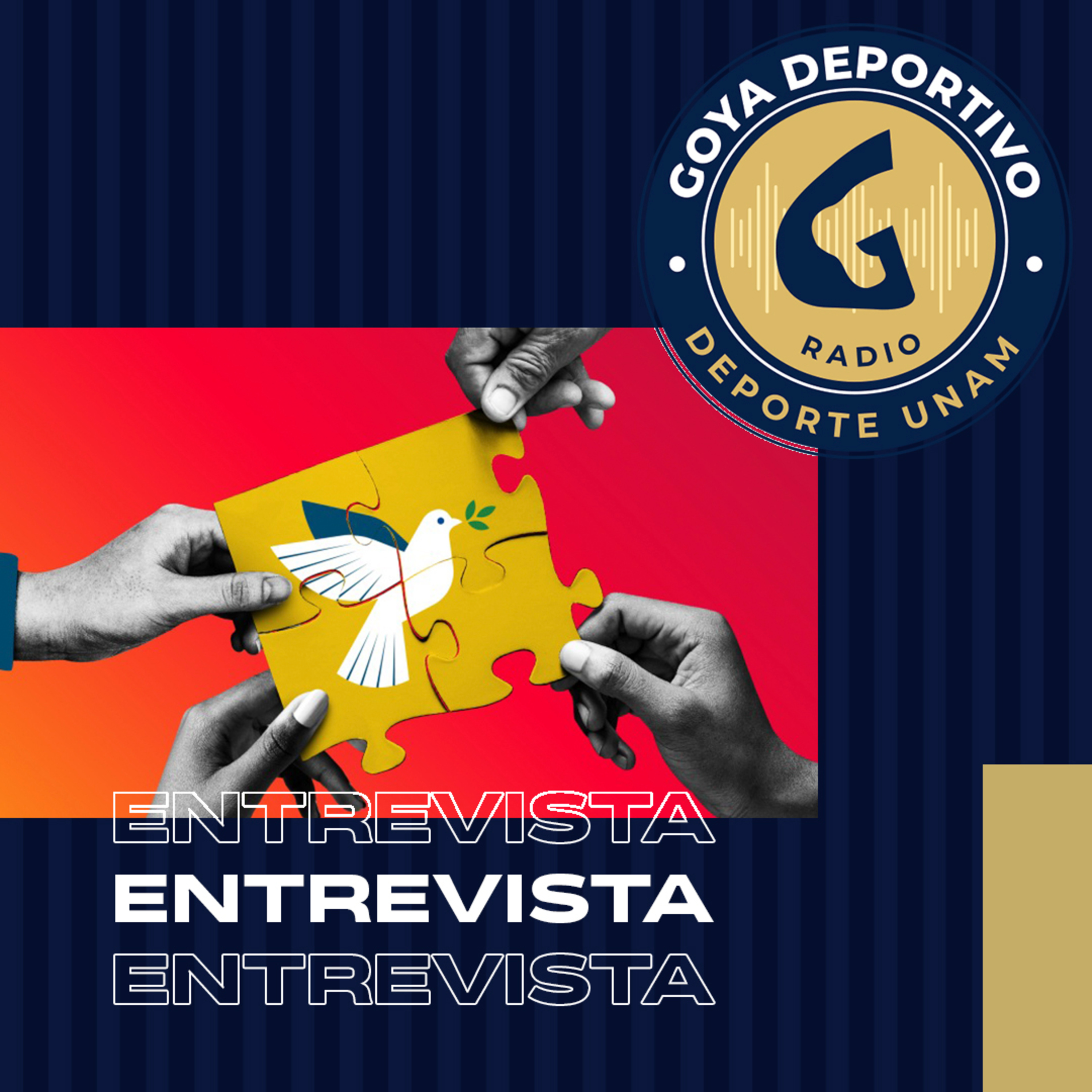 Goya Deportivo: Programa Universitario sobre Cultura de Paz y Erradicación de las Violencias