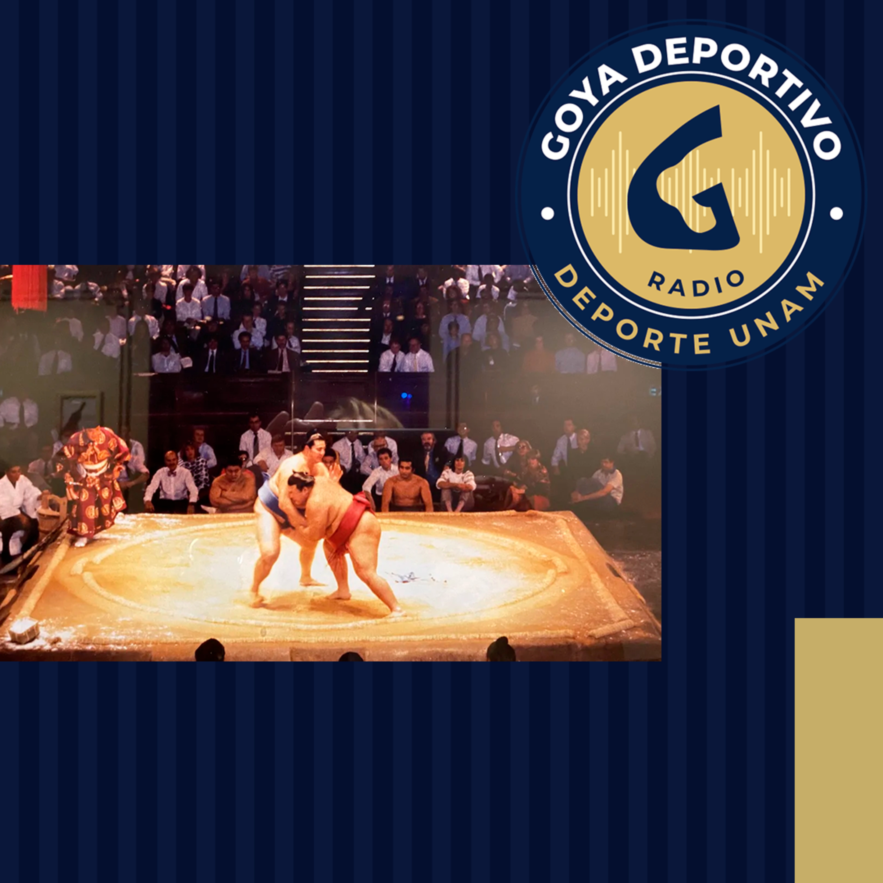 Goya Deportivo: Gran Torneo de Sumo