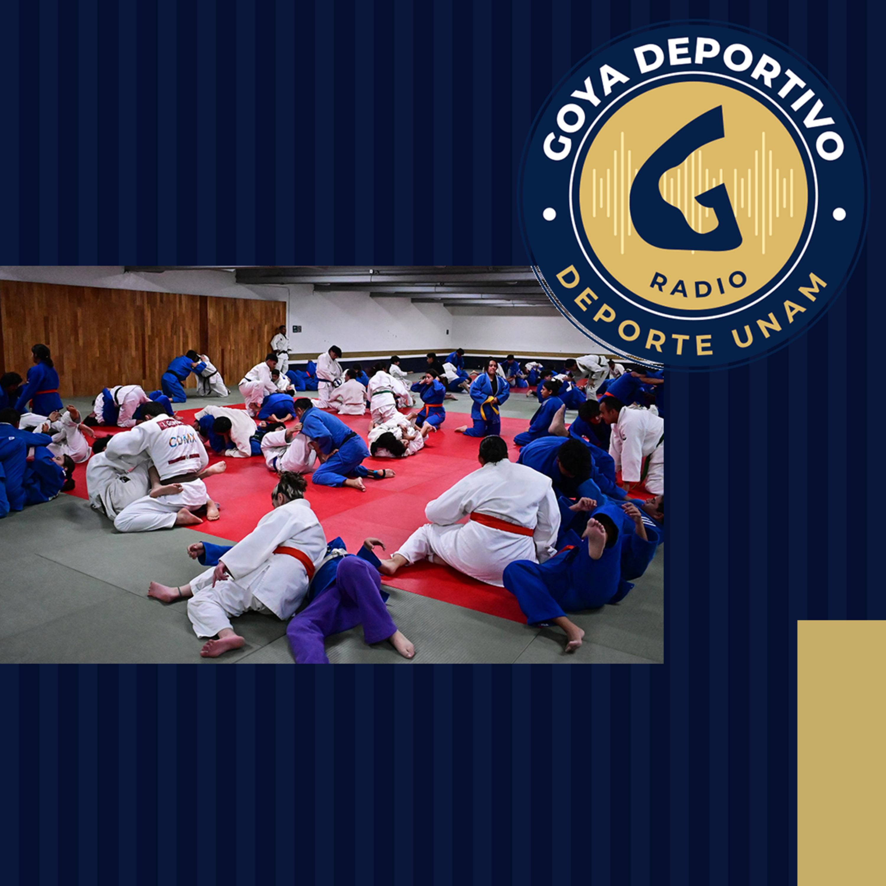 Goya Deportivo: Día Mundial del Judo