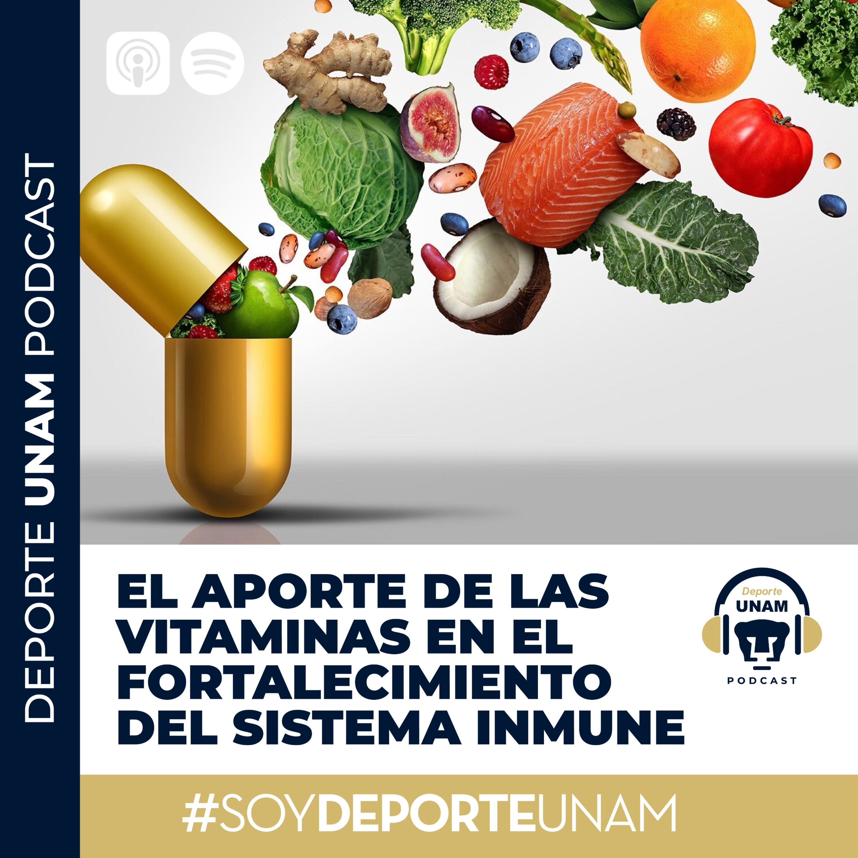 El aporte de las vitaminas en el fortalecimiento del sistema inmune
