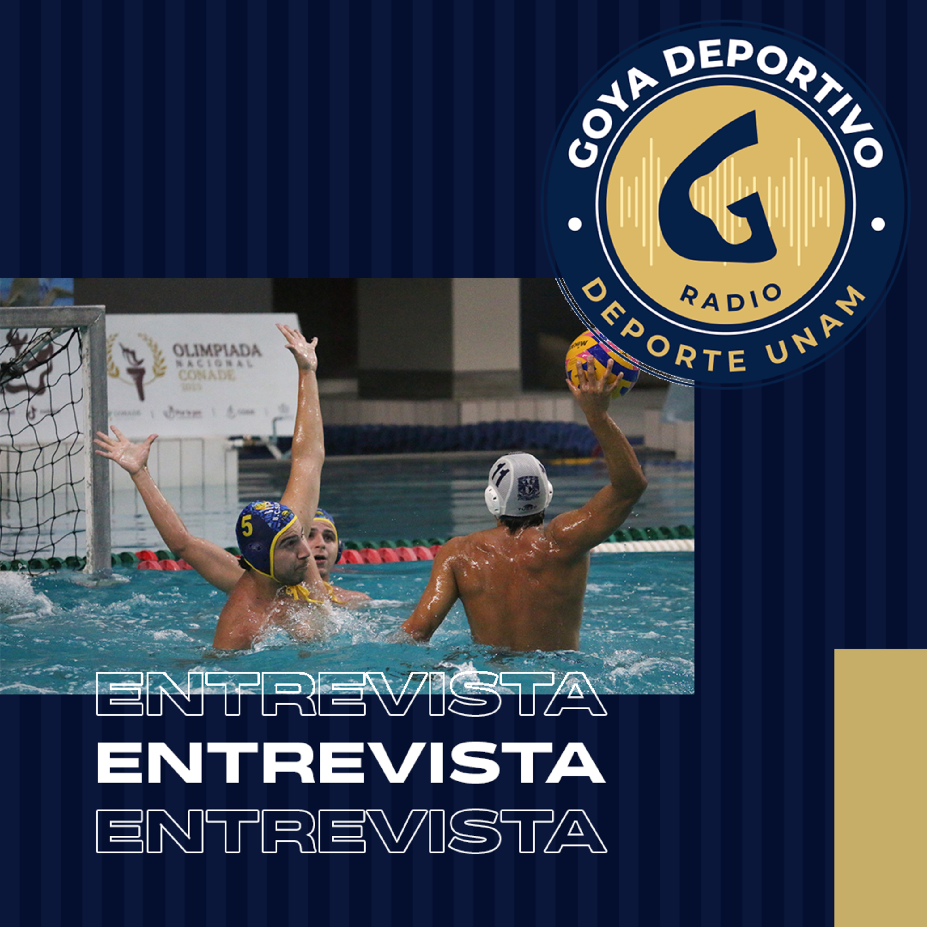 Goya Deportivo: Nuevas mesas directivas en deportes acuáticos