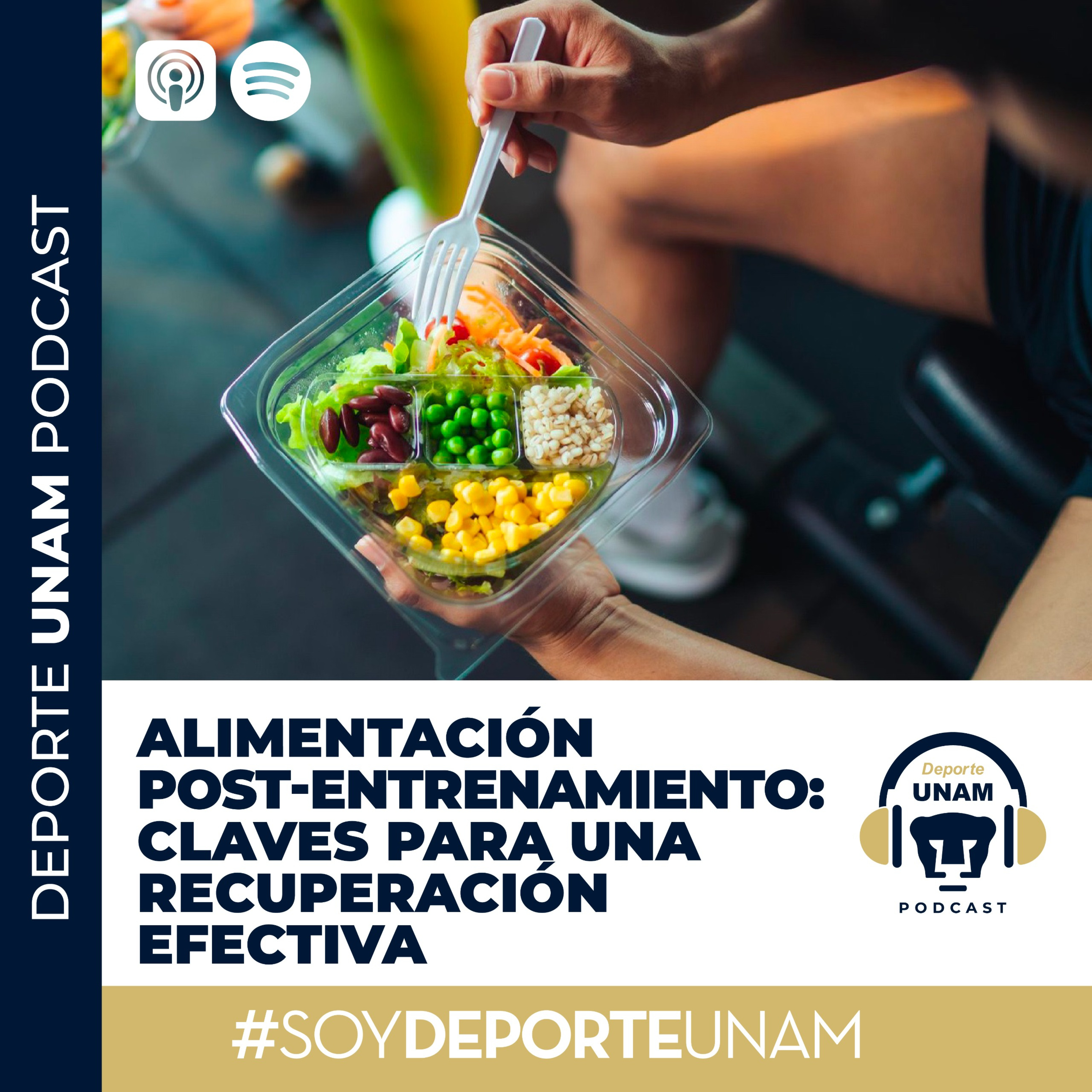 Alimentación post-entrenamiento: claves para una recuperación efectiva