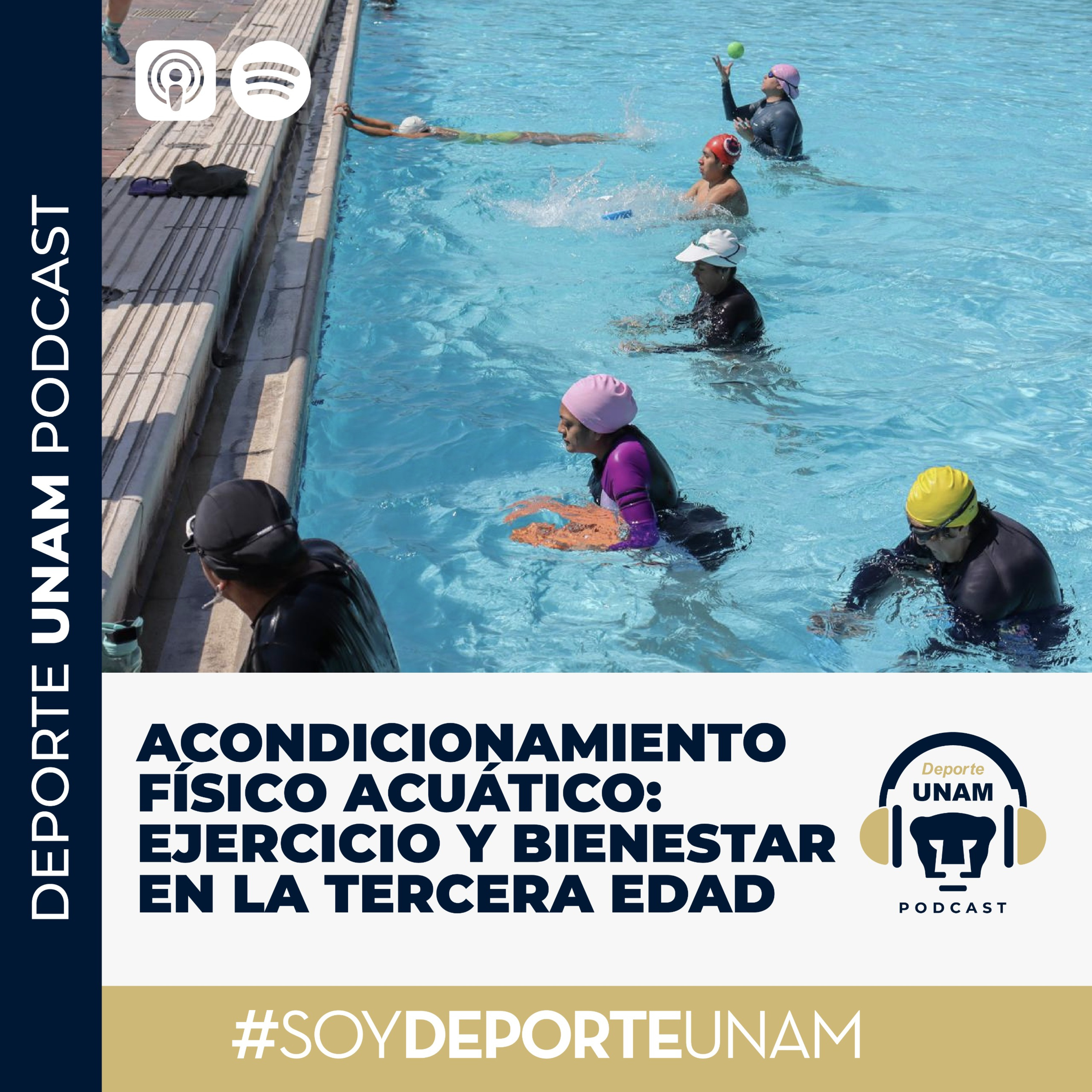 Acondicionamiento Físico acuático: ejercicio y bienestar en la tercera edad