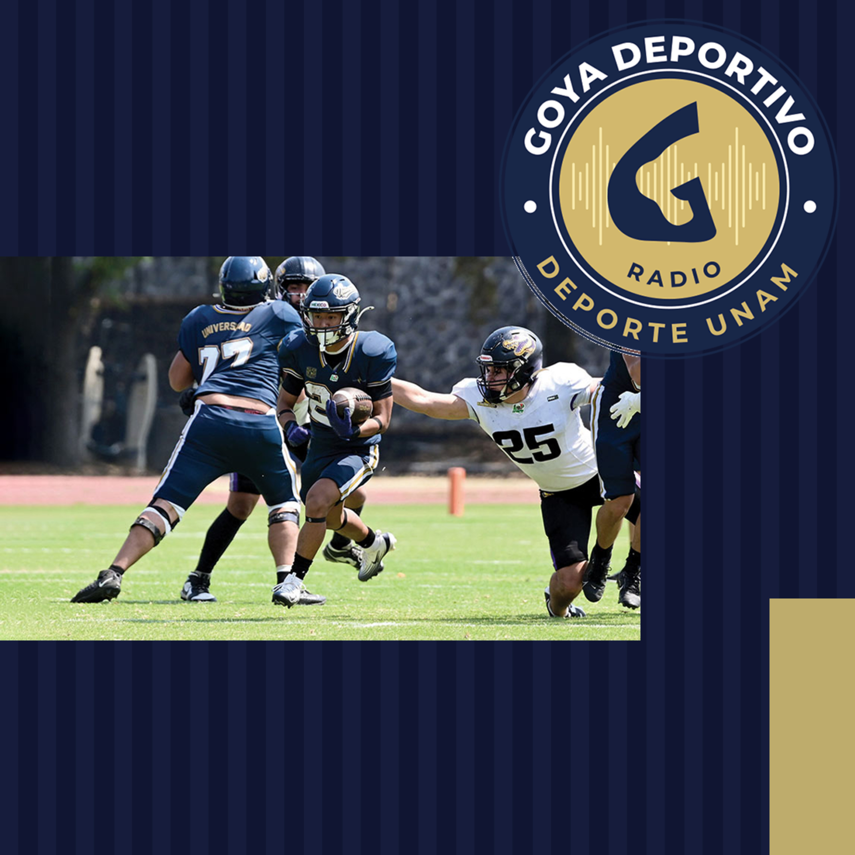 Goya Deportivo: Pumas CU gana 37-0 a Lagartos Puebla en el arranque de la temporada intermedia