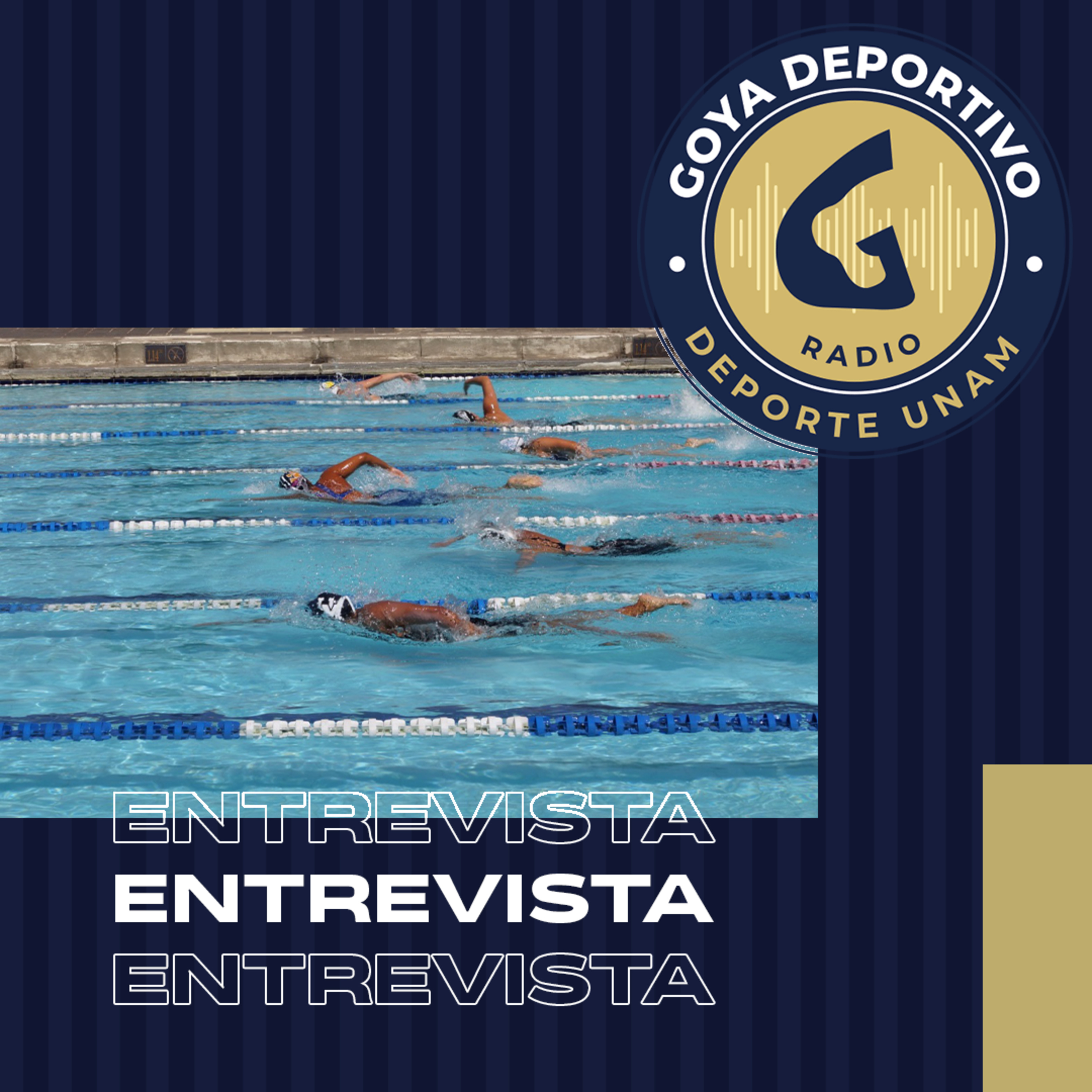 Más de 650 estudiantes participaron en los Juegos Universitarios de Natación 2026