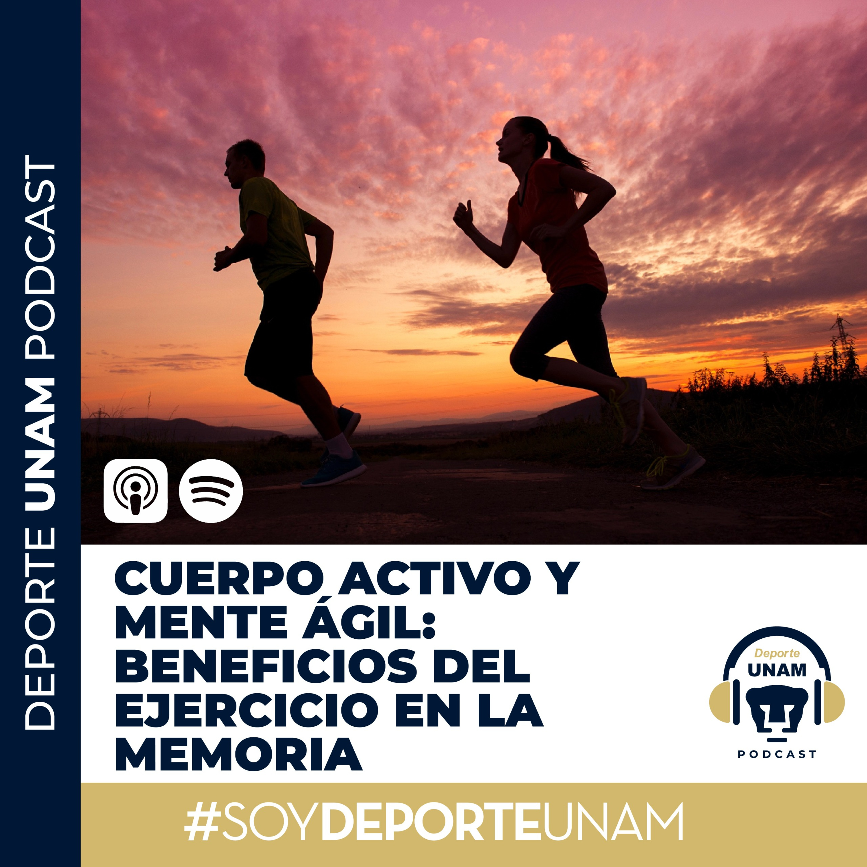 Cuerpo activo y mente ágil: beneficios del ejercicio en la memoria