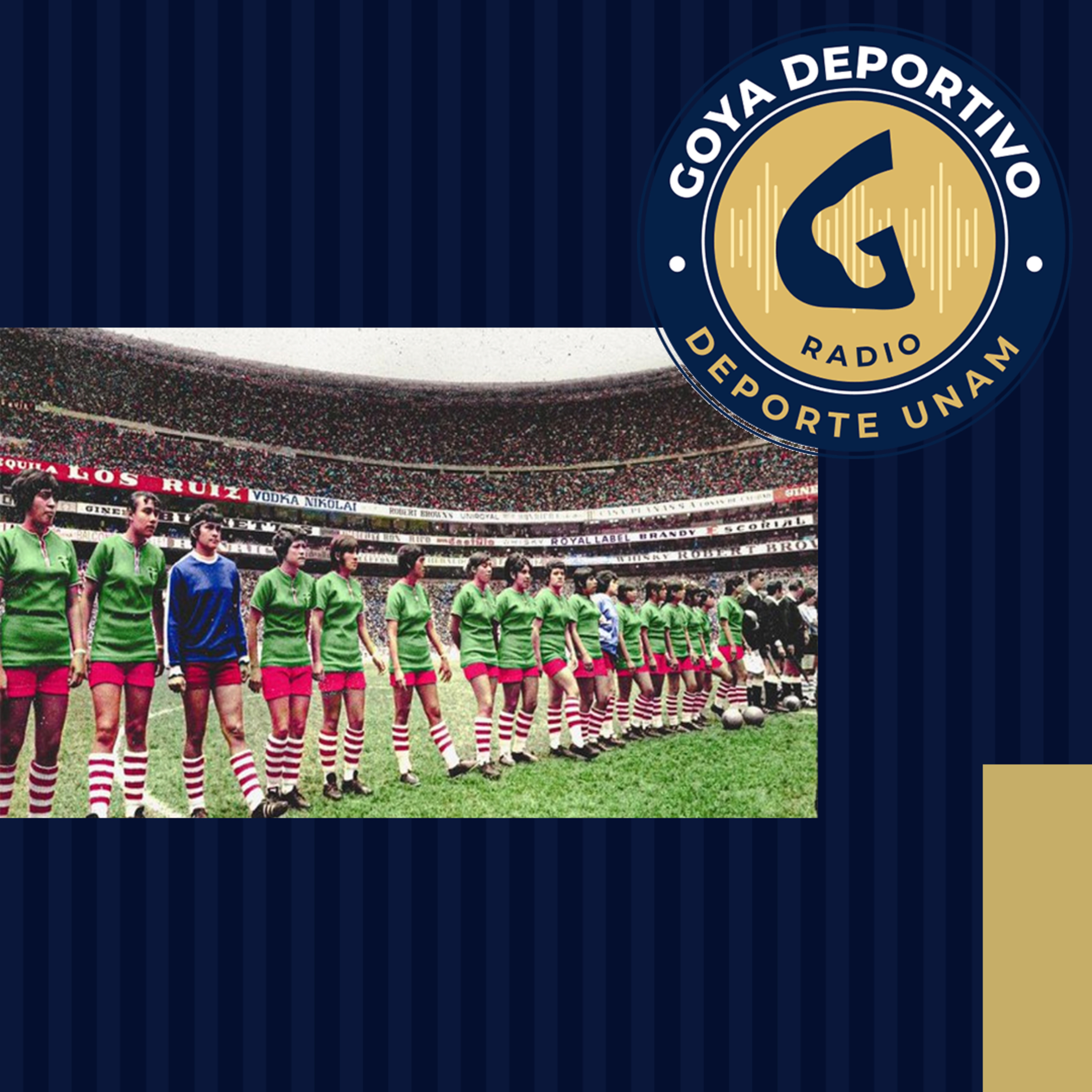Copa Mundial de Futbol Femenil 1971