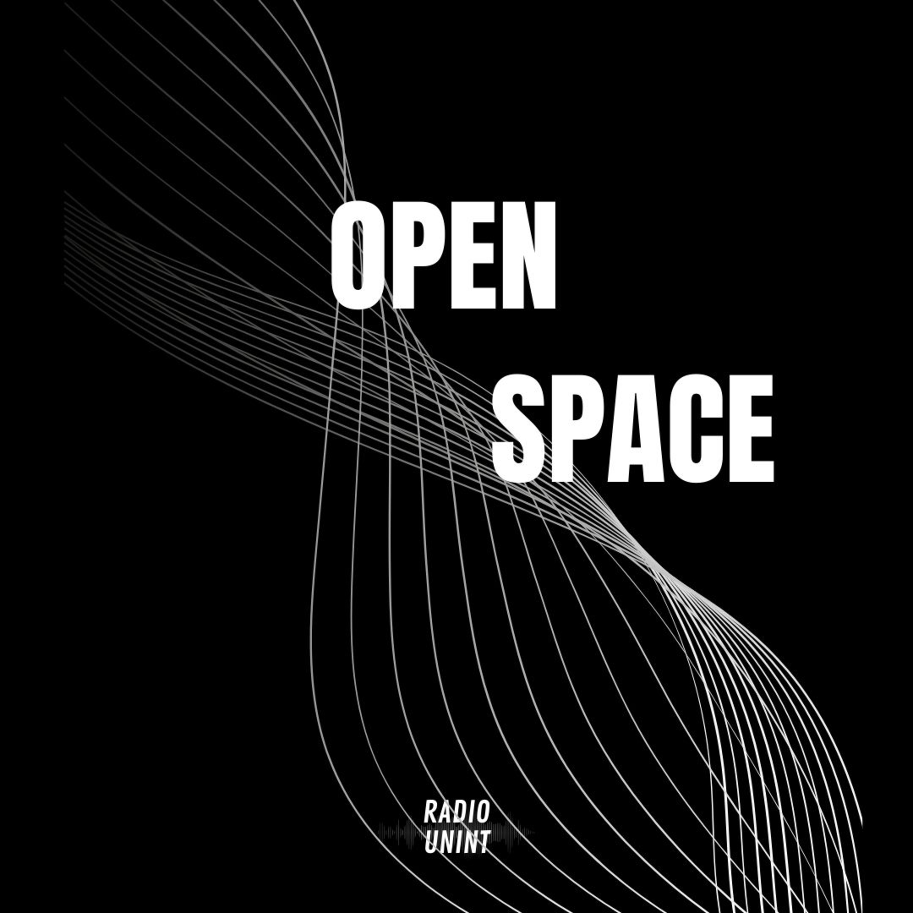 OPEN SPACE | DCA: oltre il corpo - chiacchierata con Animenta episode artwork