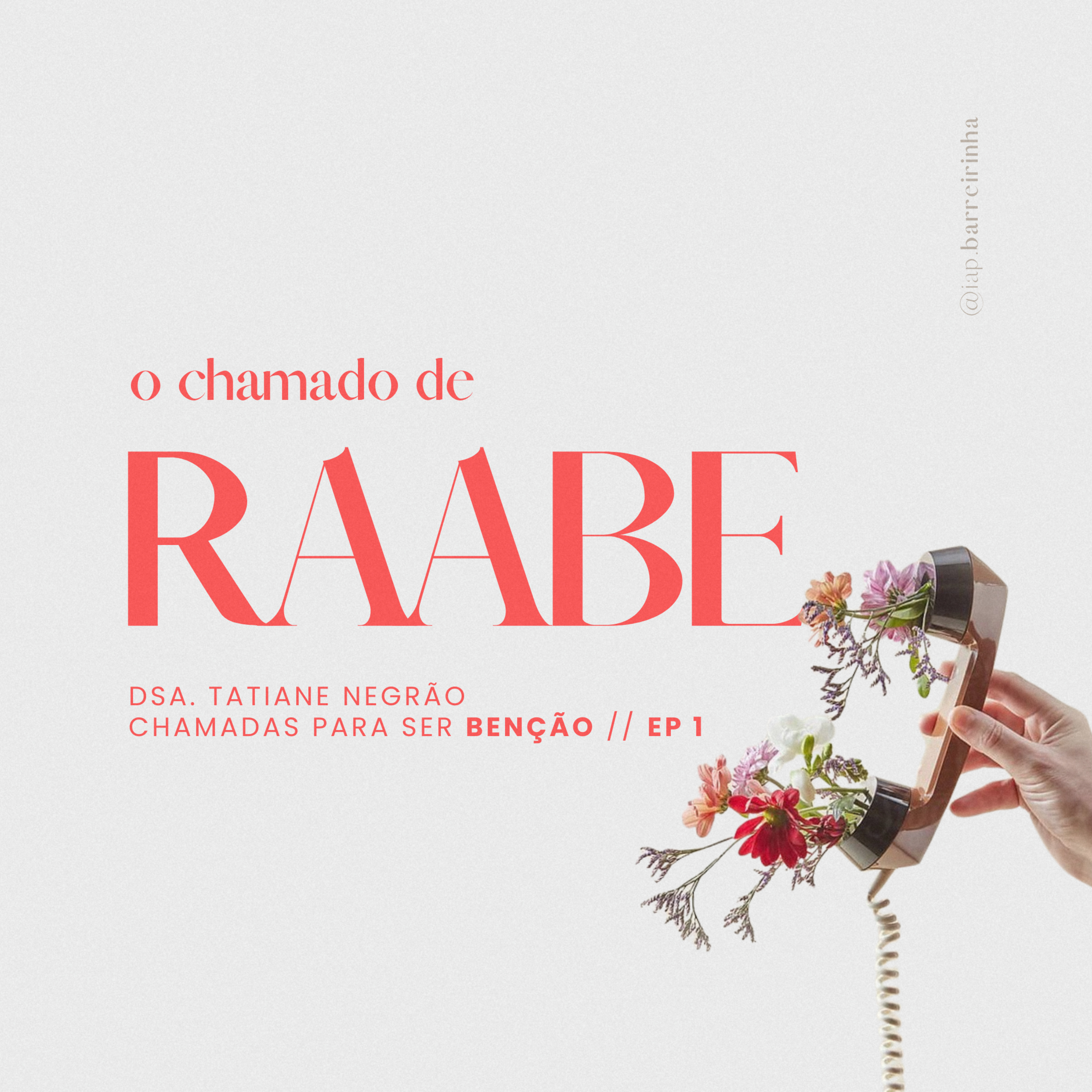 IAP Barreirinha