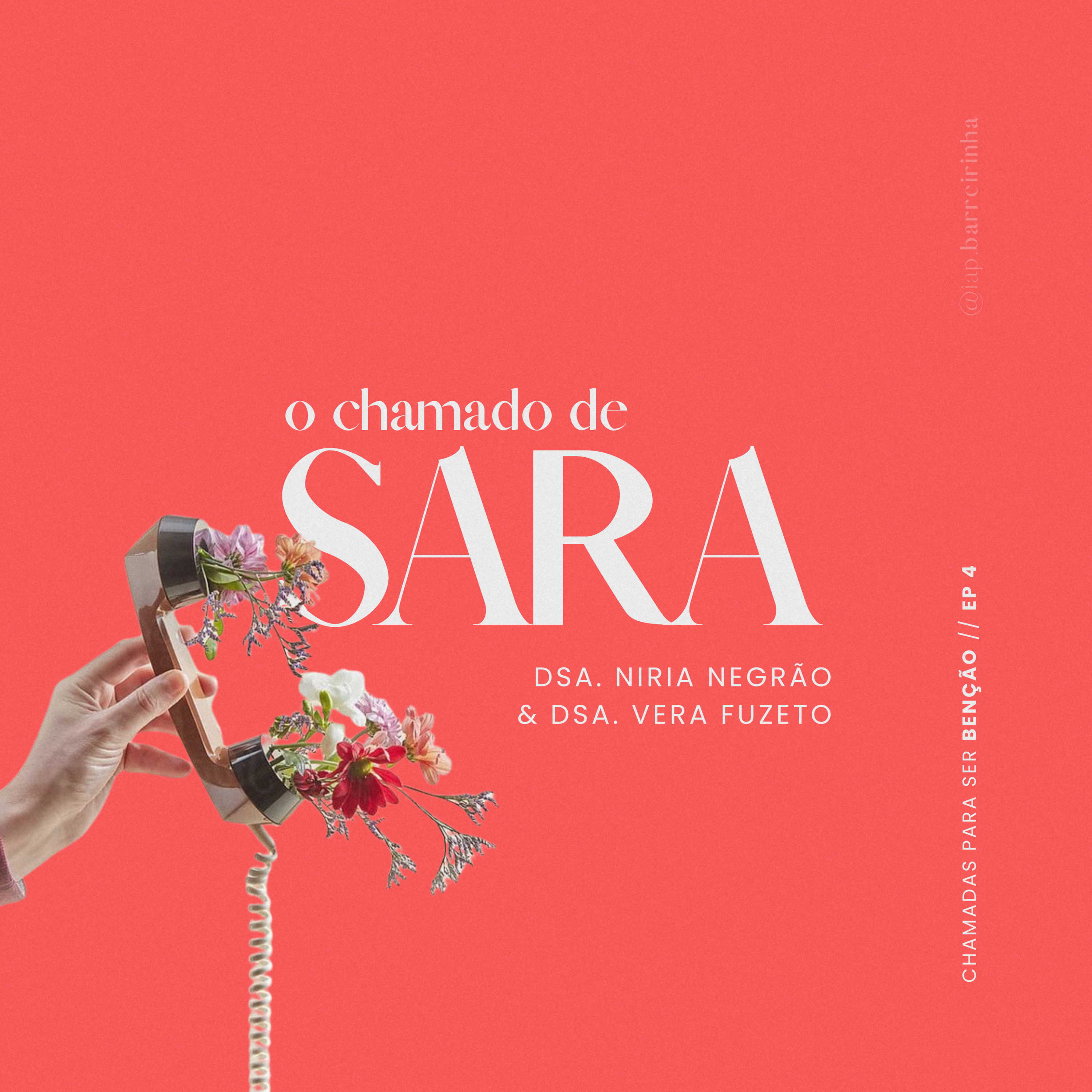 IAP Barreirinha