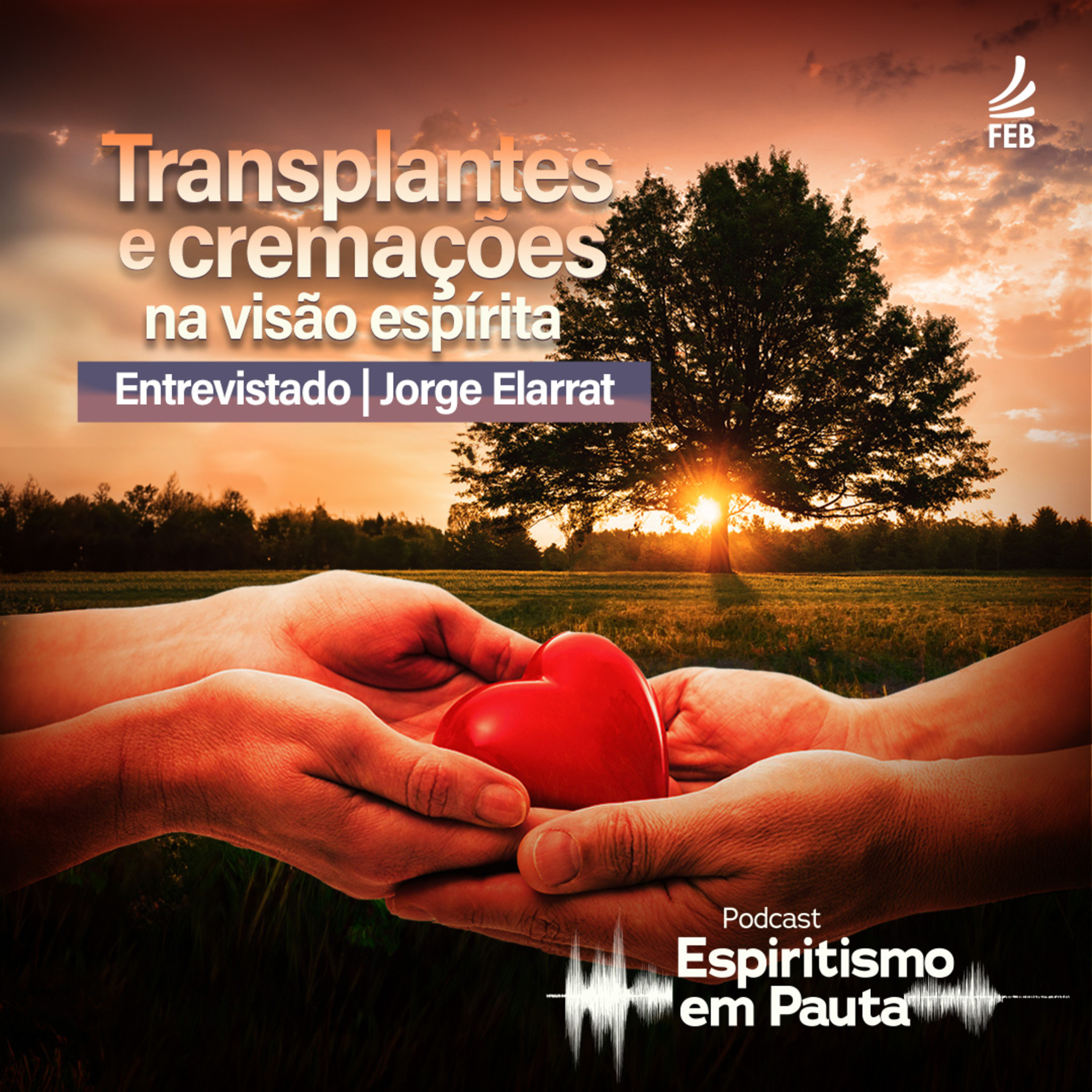 Espiritismo em Pauta | FEB