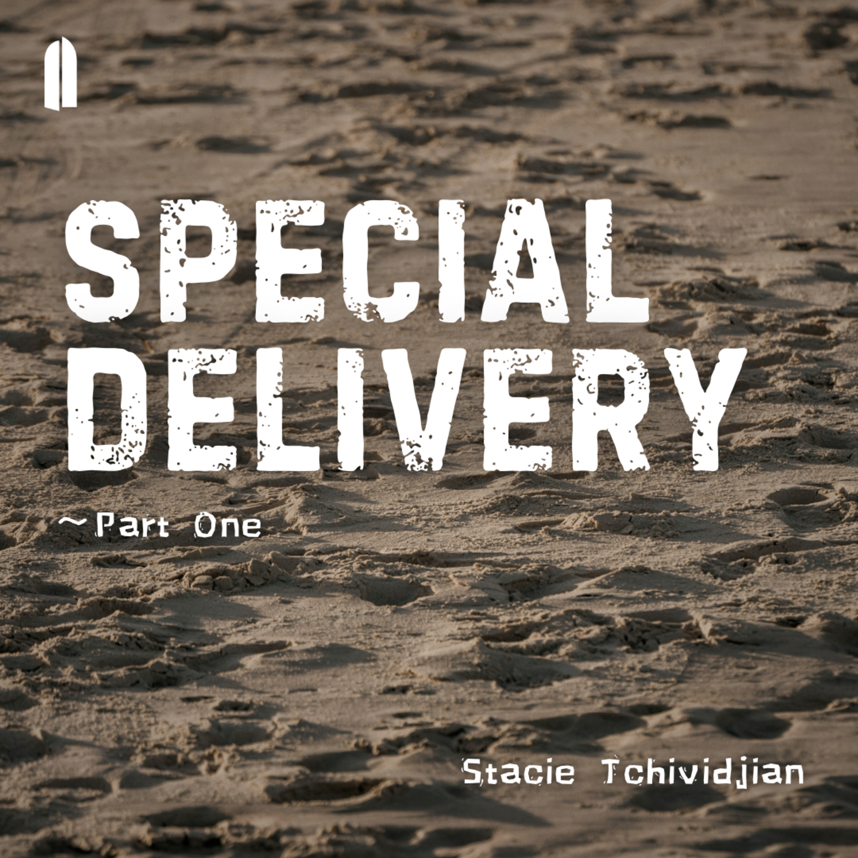 Special Delivery, Part 1 | Stacie Tchividjian episode artwork