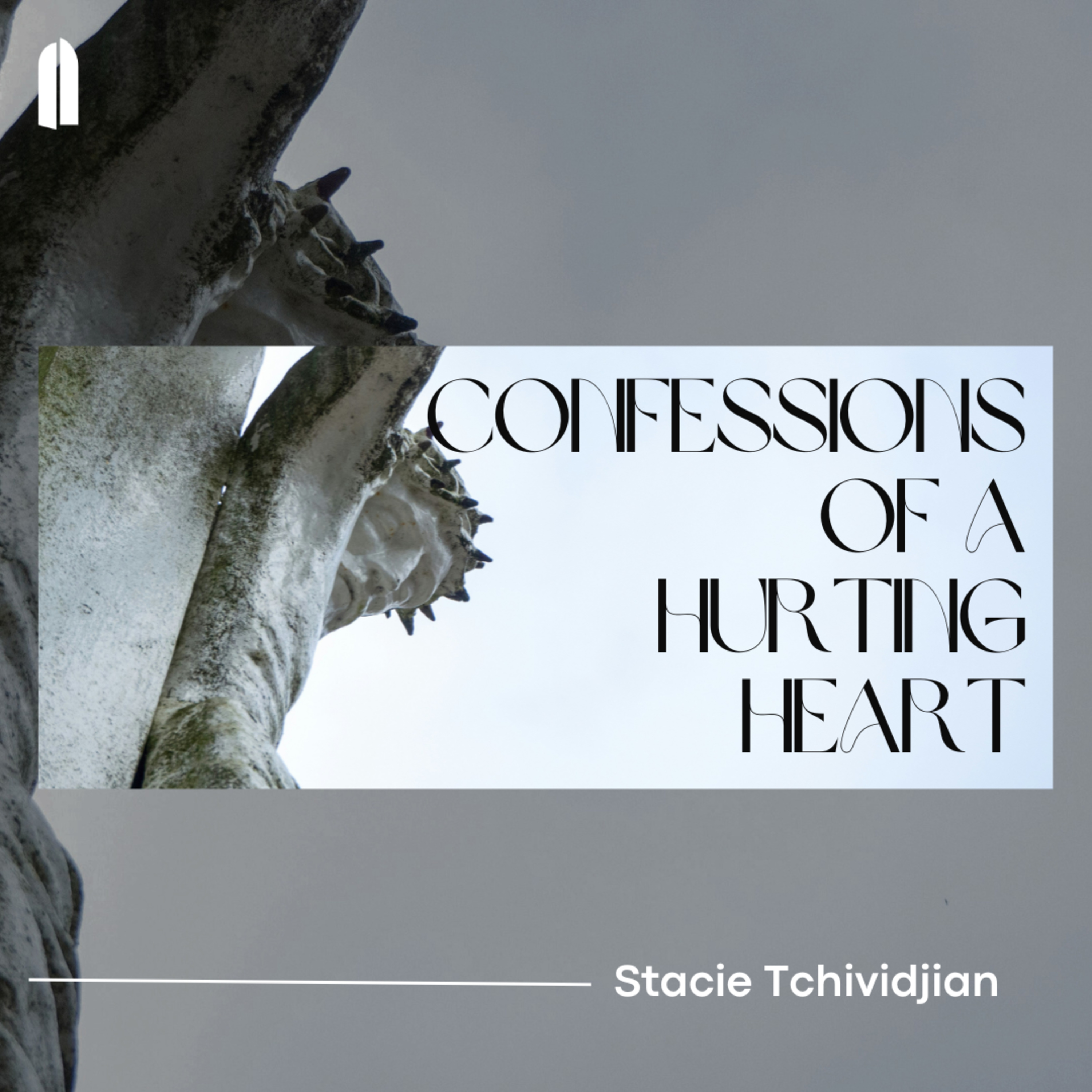 Confessions of a Hurting Heart | Stacie Tchividjian episode artwork