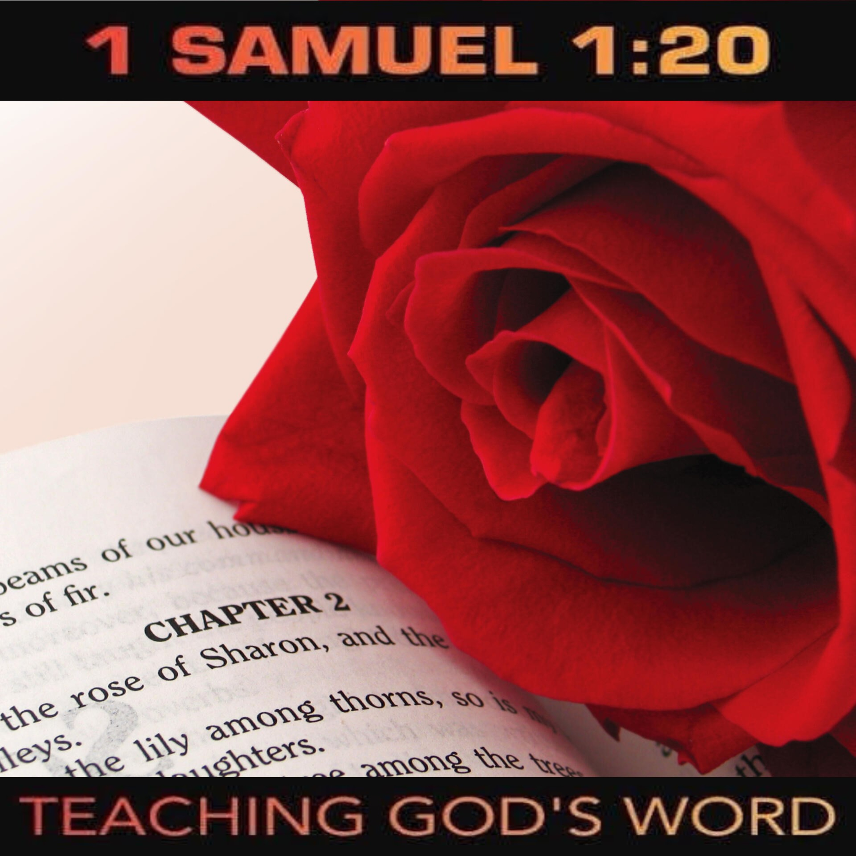 Song of Solomon 8:6-7 I Am My Beloved’s  episode artwork