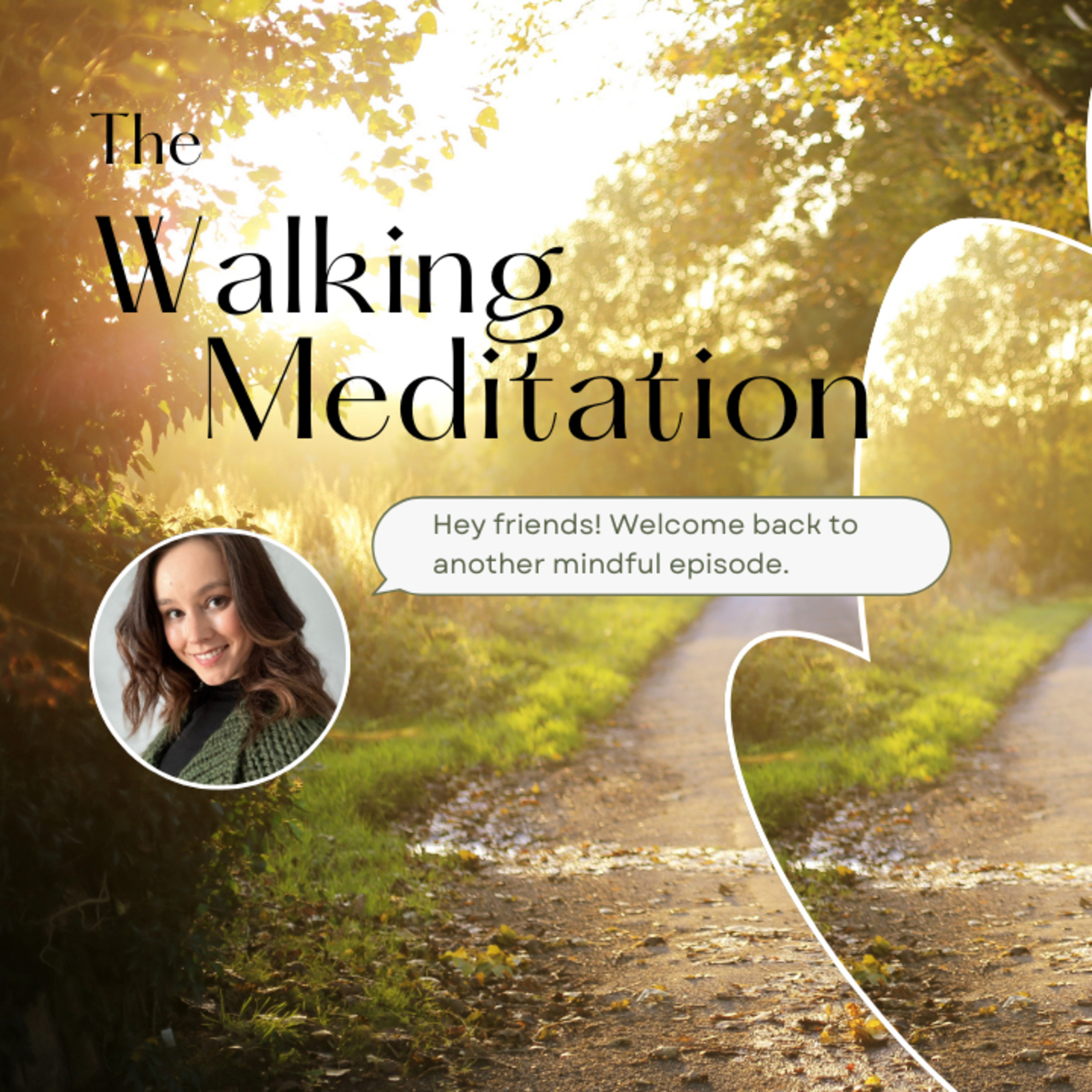 The Walking Meditation  episode artwork