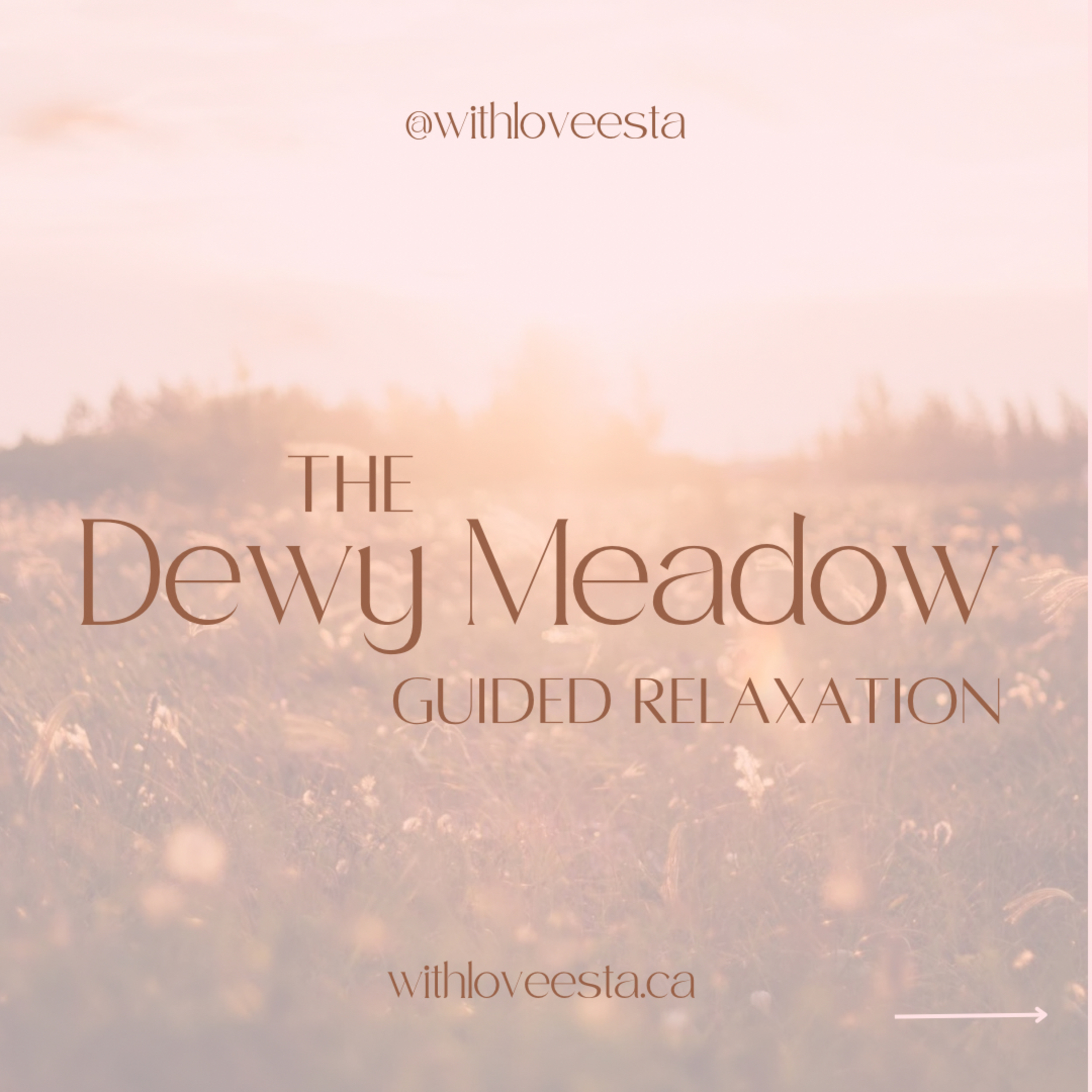 CYOA | Meadow Dreamscape episode artwork