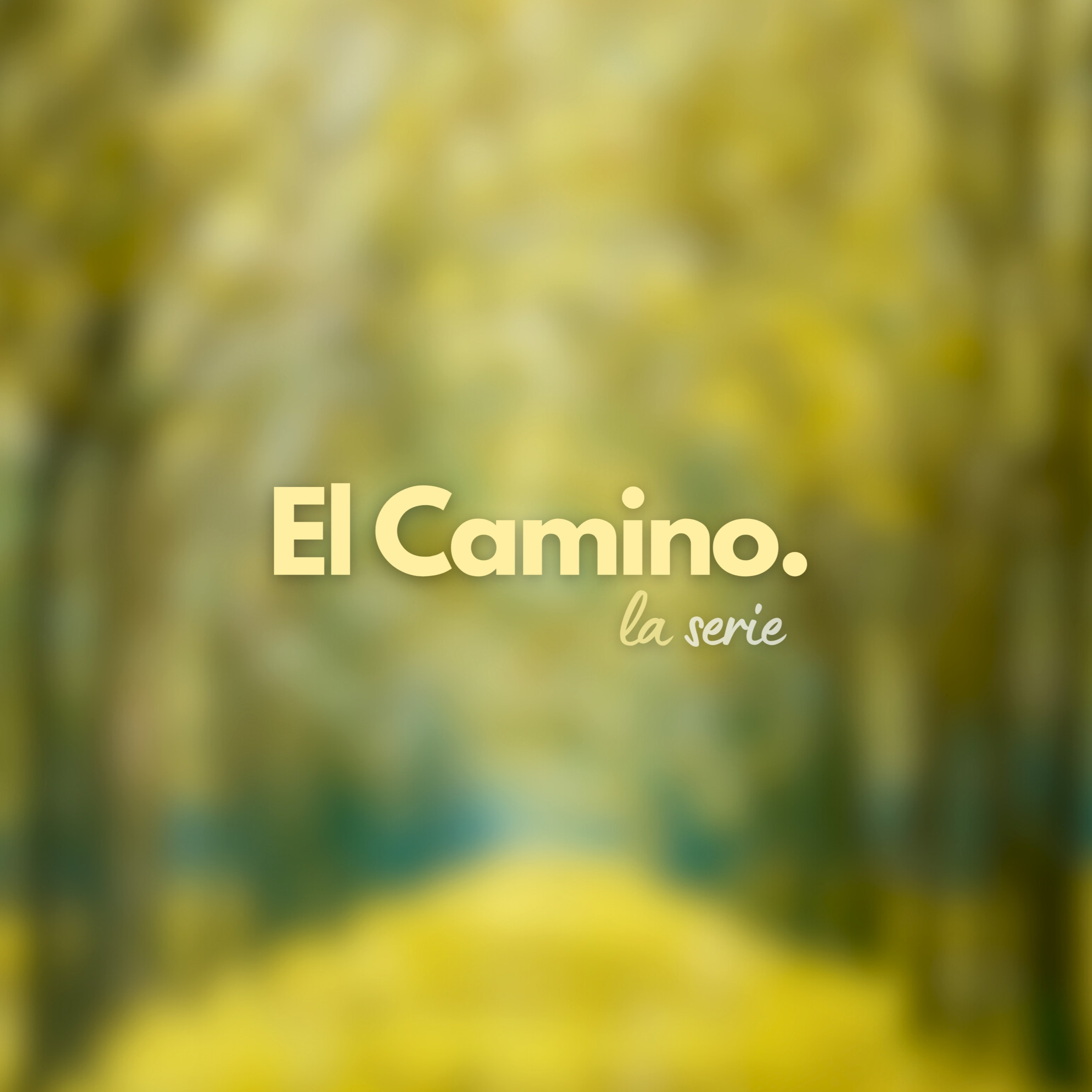 El camino de la Paz episode artwork