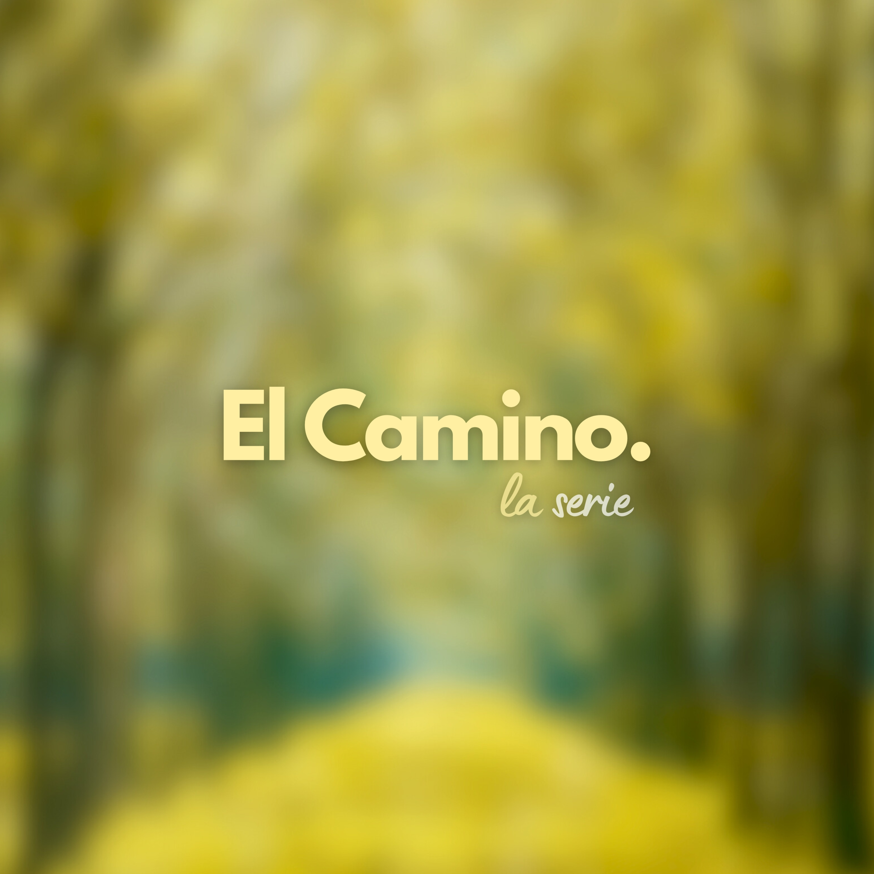 Llamados al Camino  episode artwork
