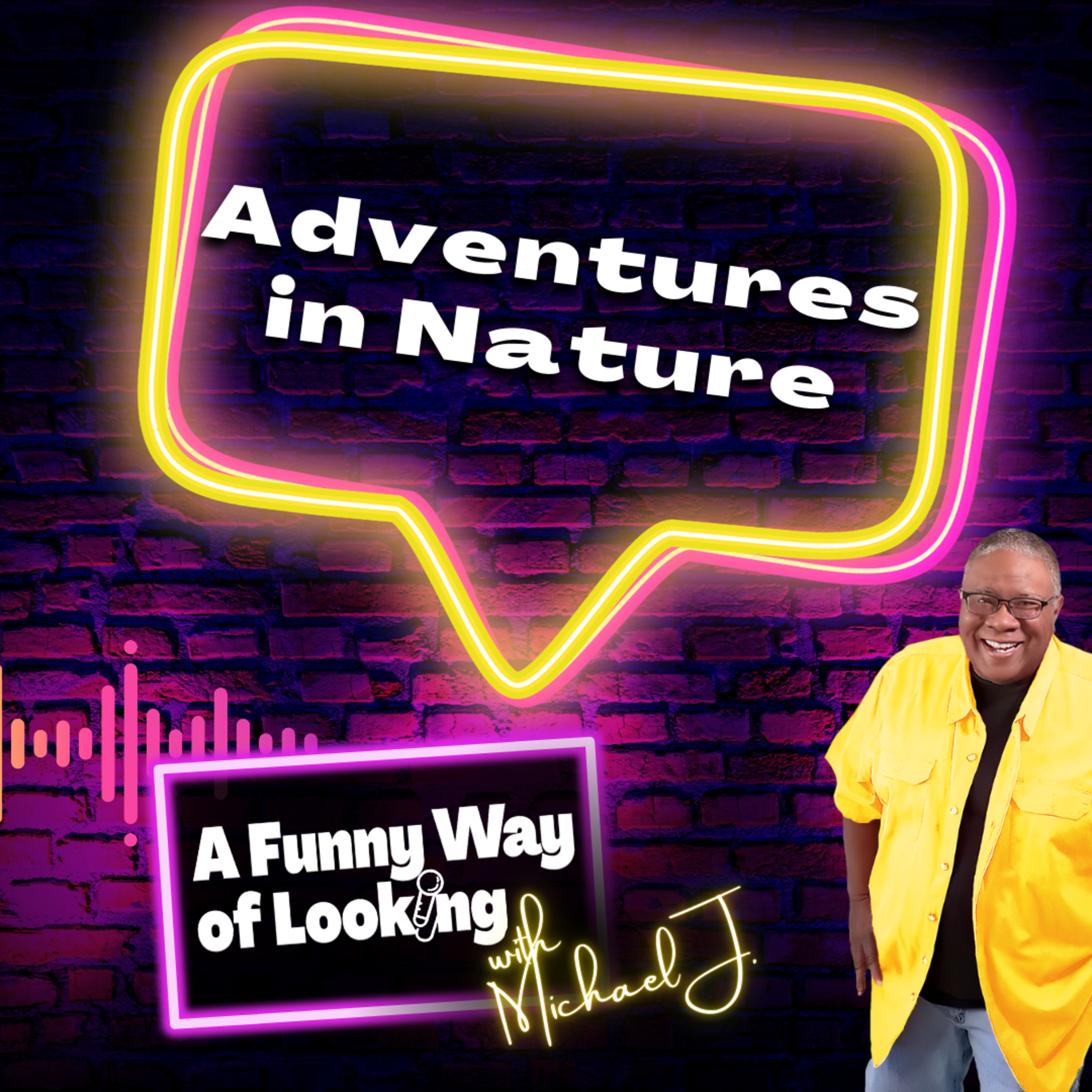 A Funny Way of Looking with Michael J