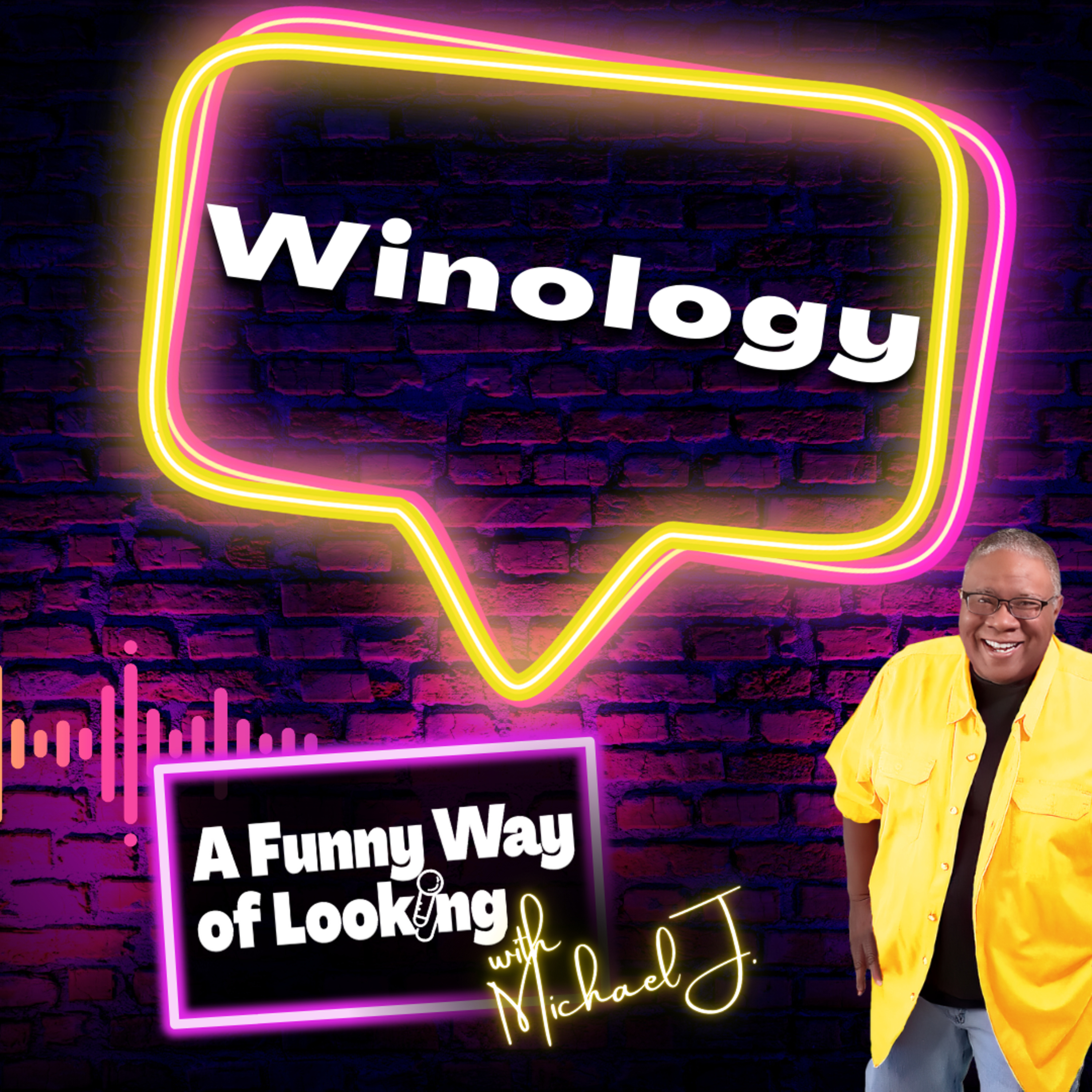 A Funny Way of Looking with Michael J