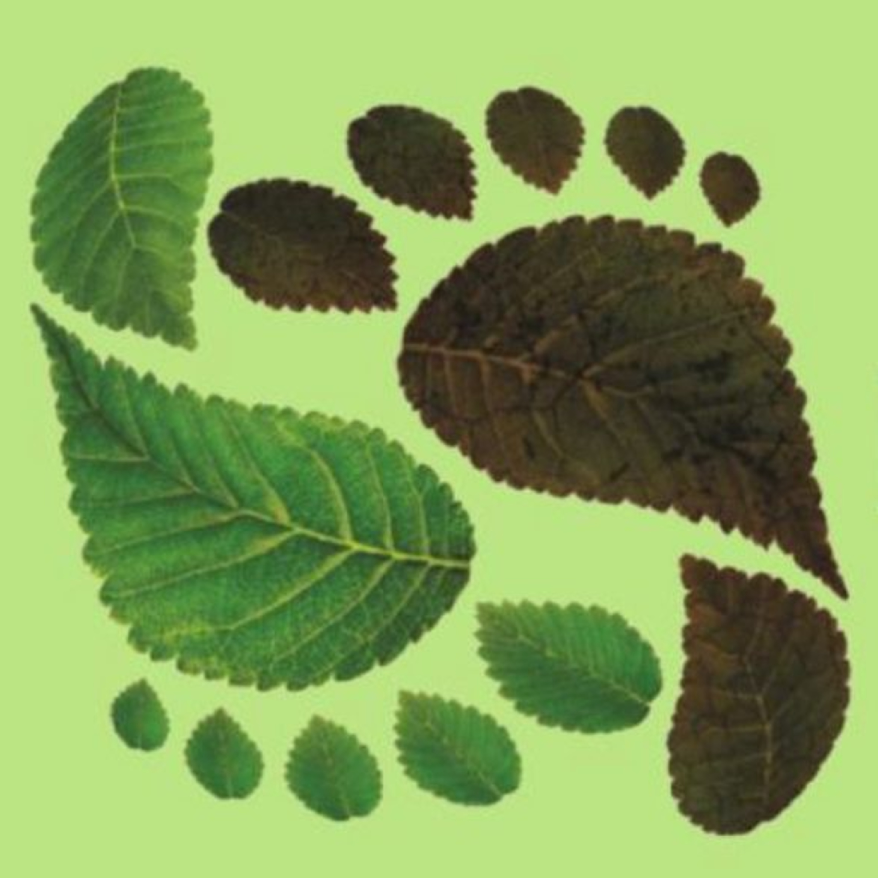 2. Pólen O pozinho mágico das plantas!