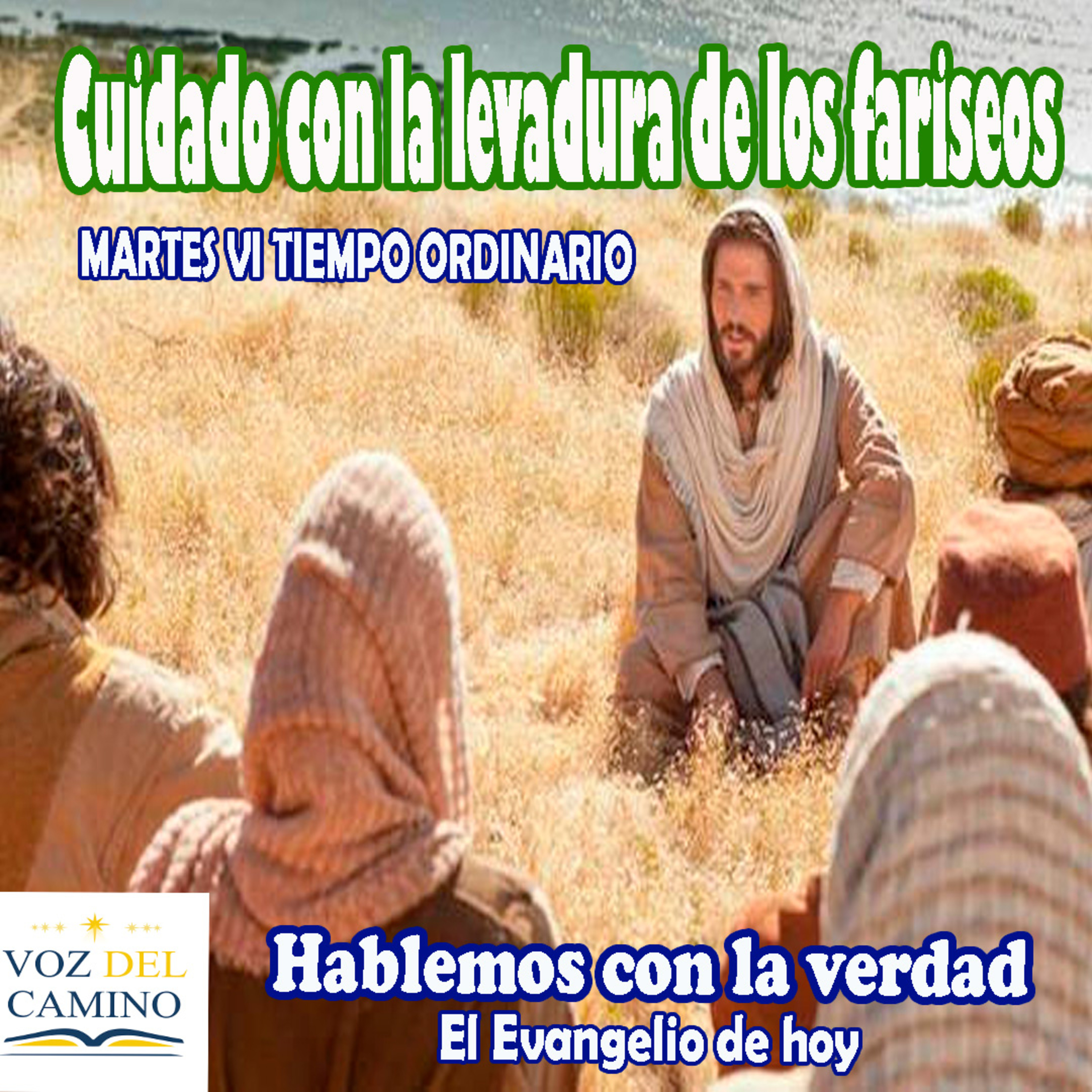 13.FEB.24 MARTES VI T.O. CUIDADO CON LA LEVADURA DE LOS FARISEOS episode artwork