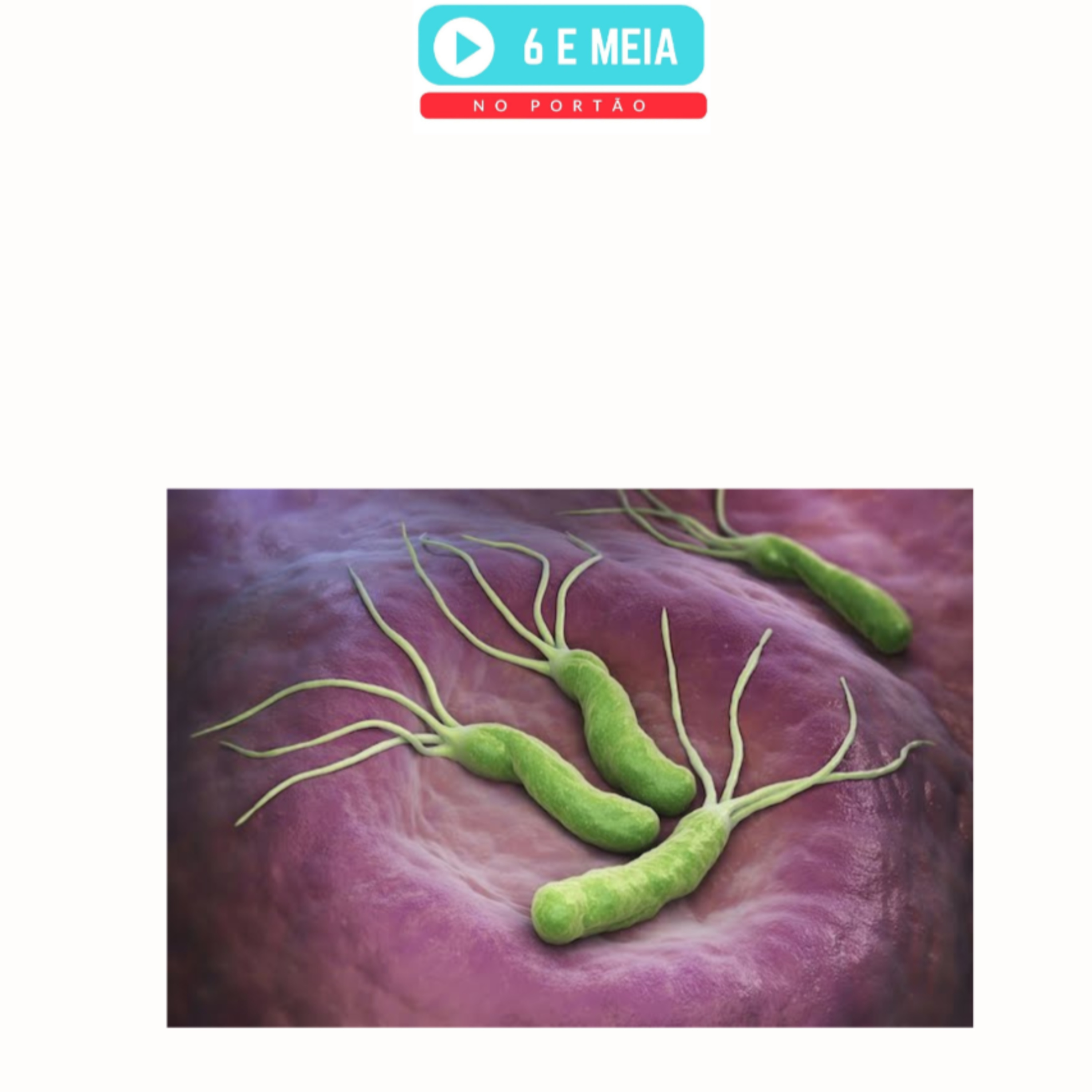 EP.419 - Helicobacter, sortido e Minhoto episode artwork