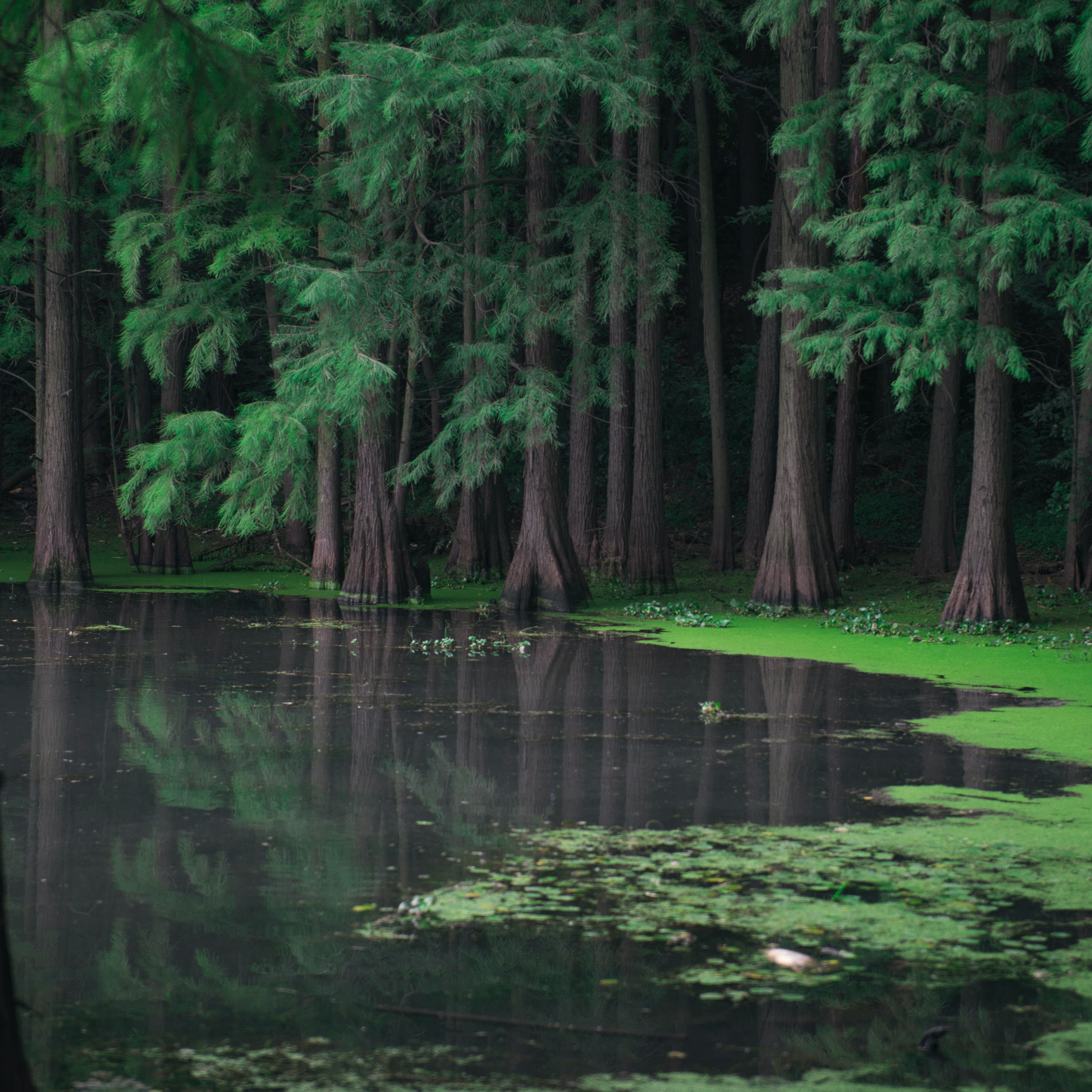 CONFESSION DUN DIPLÔMÉ DE PREMIÈRE CLASSE