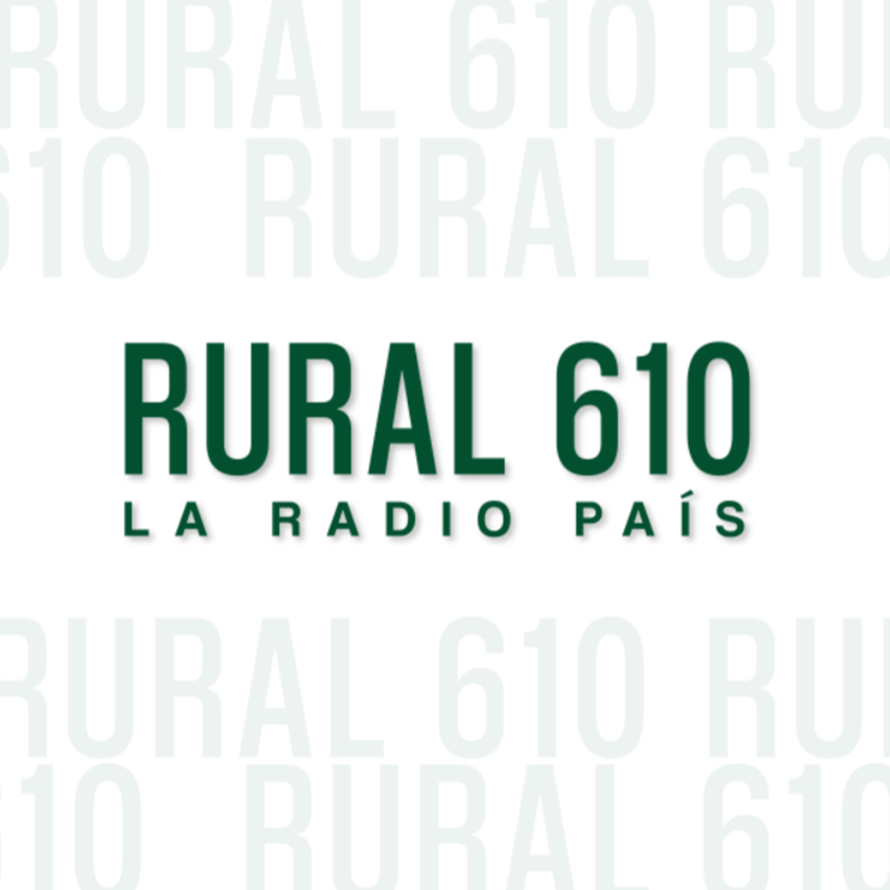 Diario Rural - El dólar va a subir en 2026 pero "muy lentamente" episode artwork