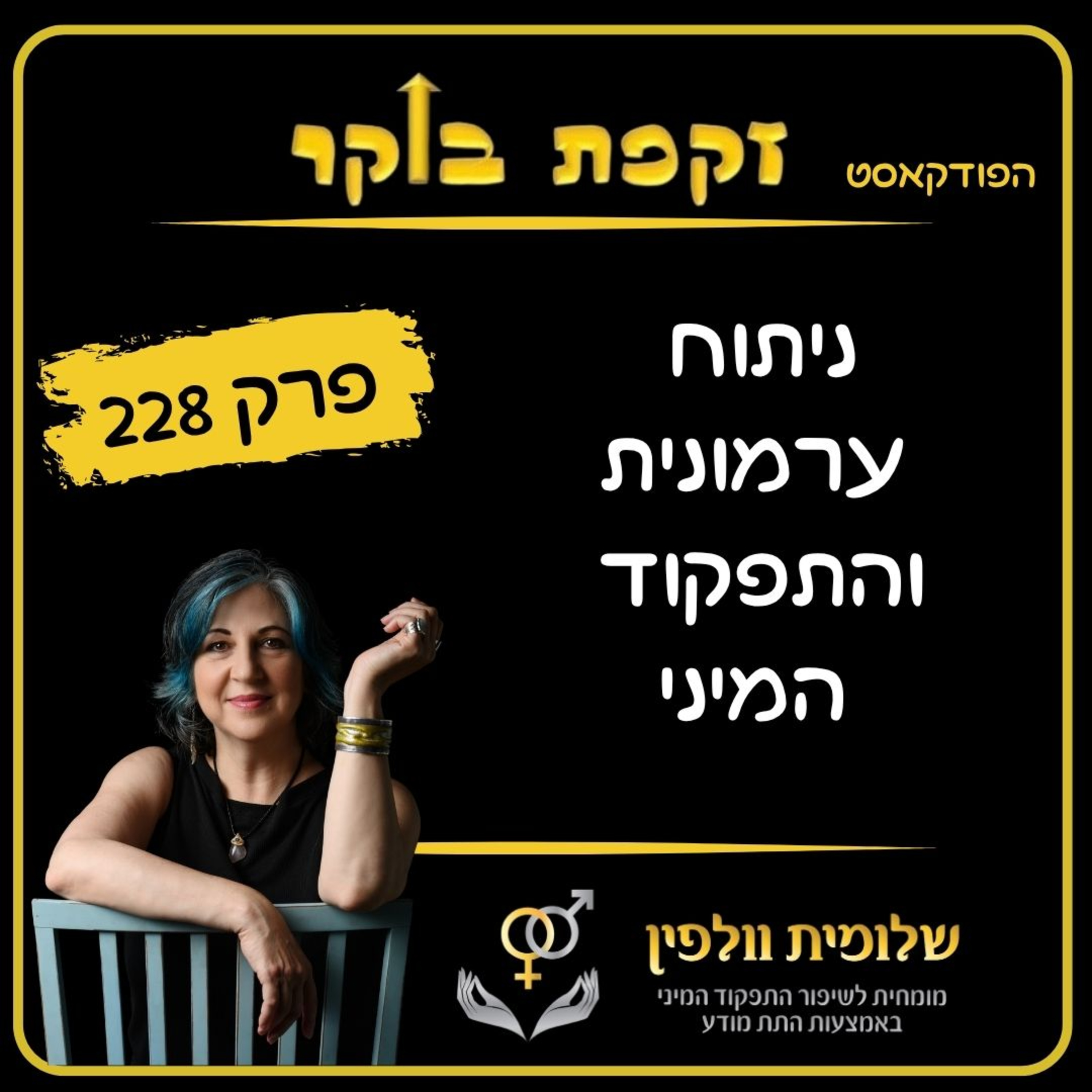 #פרק 228 ניתוח ערמונית והתפקוד המיני episode artwork