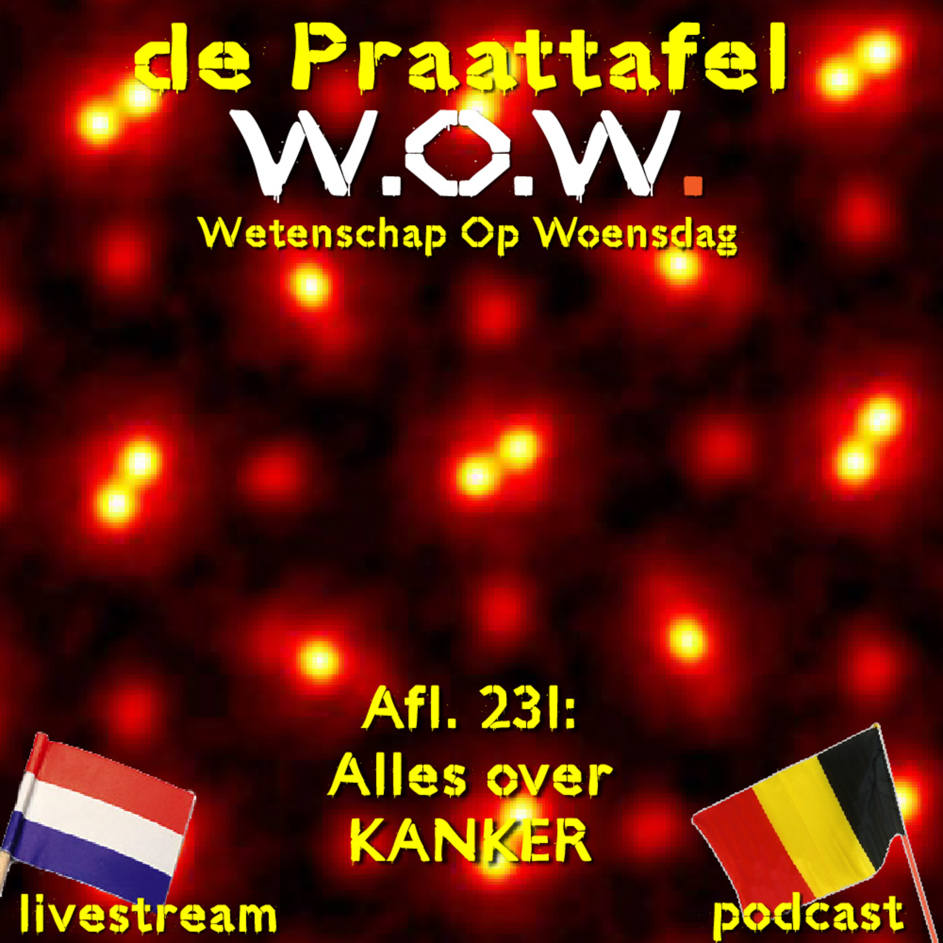 De Praattafel - Live talkshow en podcast