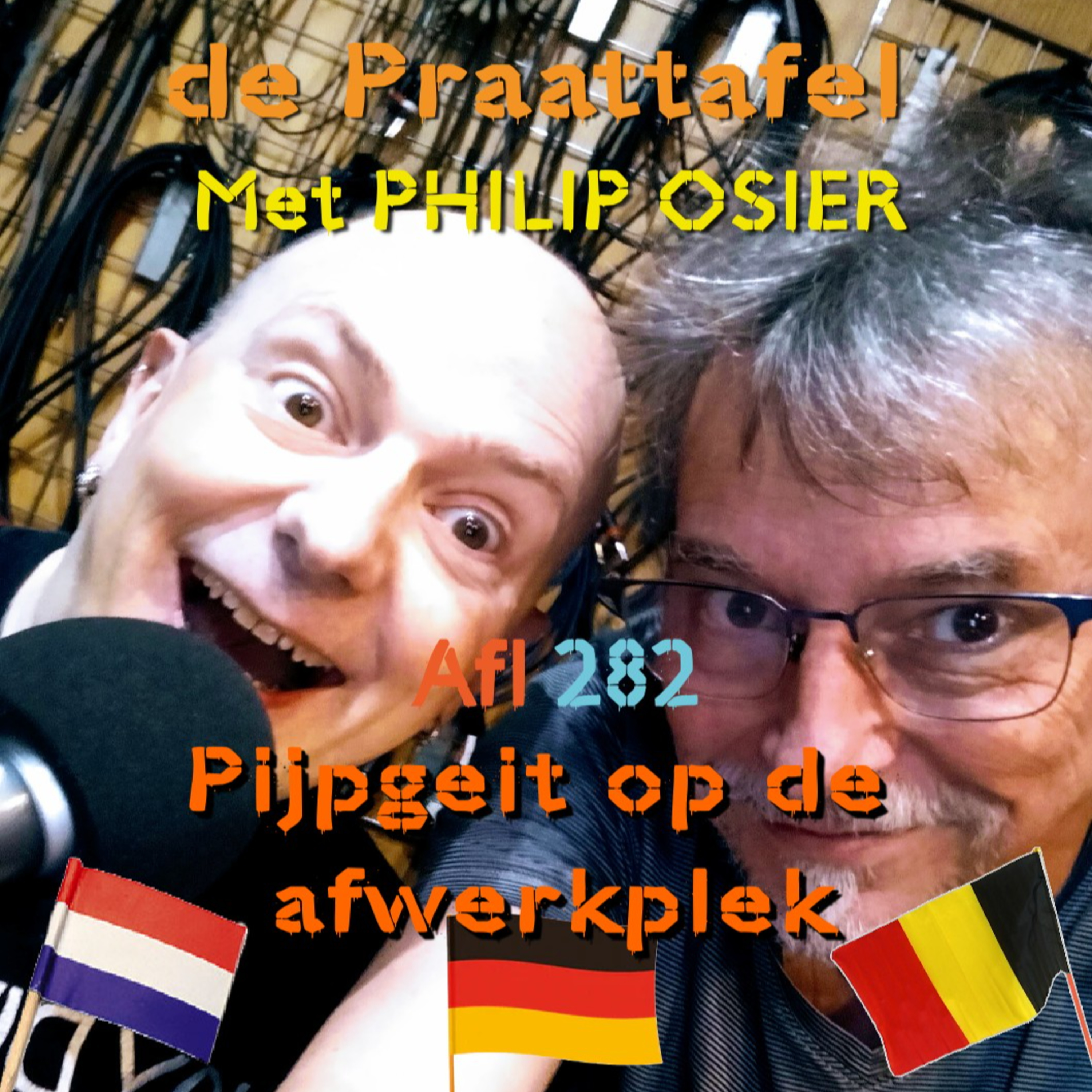 Afl. 282 Pijpgeit op de afwerkplek. episode artwork