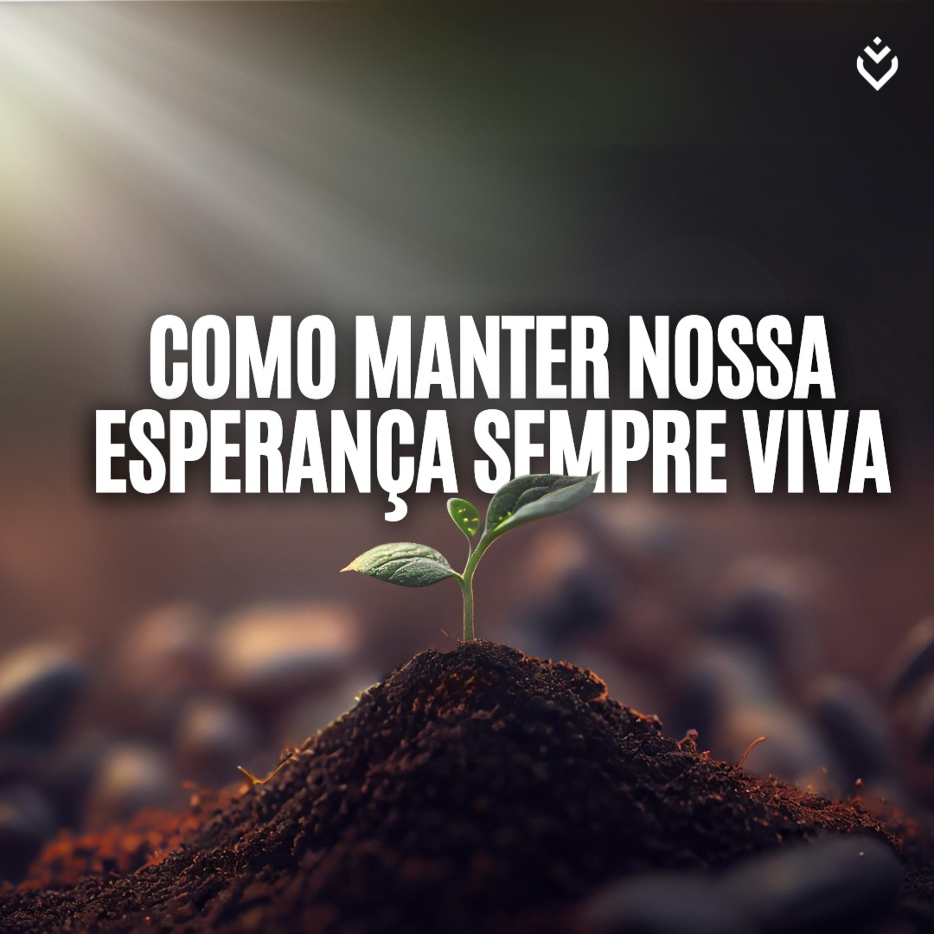 Como manter a esperança sempre viva | QUARTA, 14/08/24
