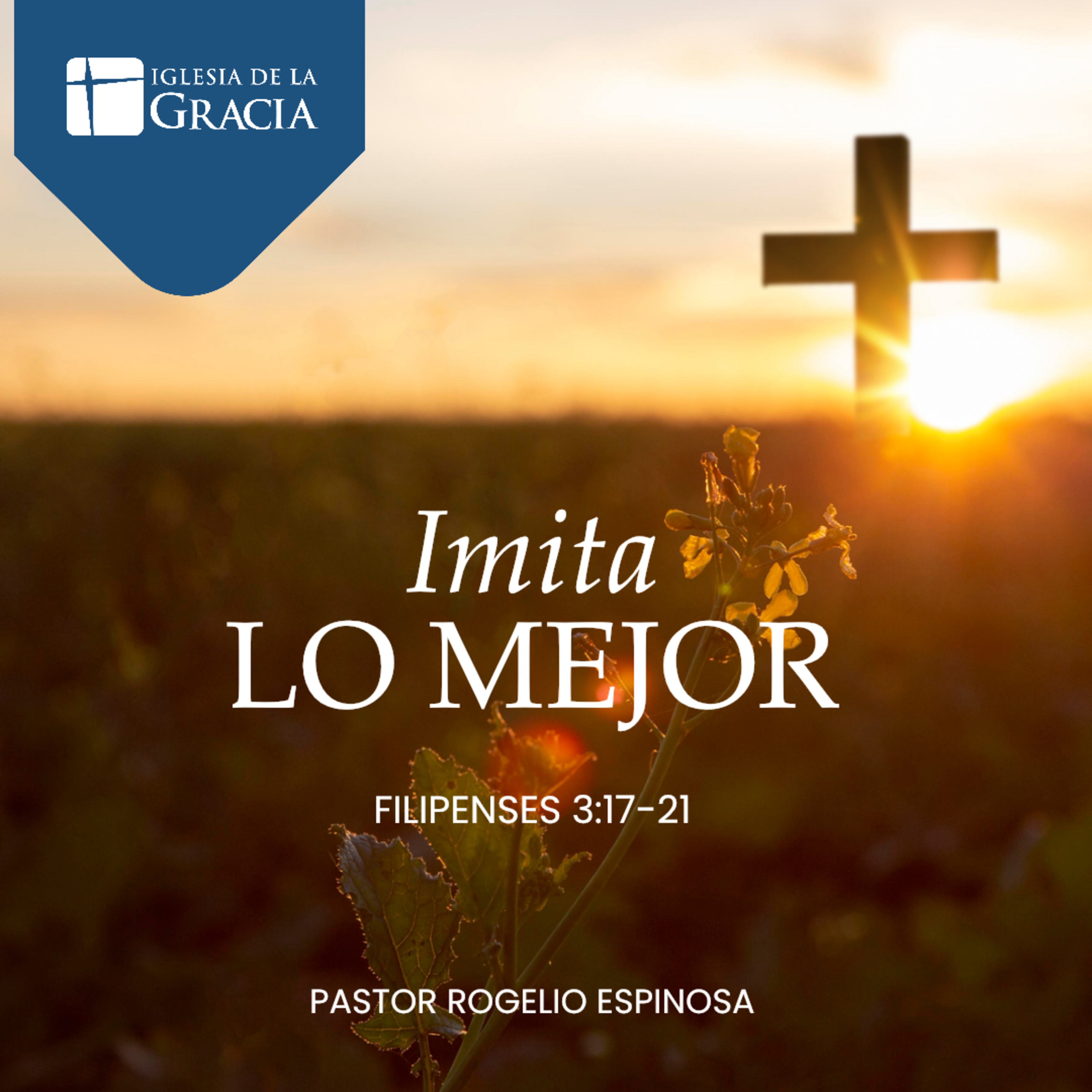 Imita lo mejor, cree y actúa