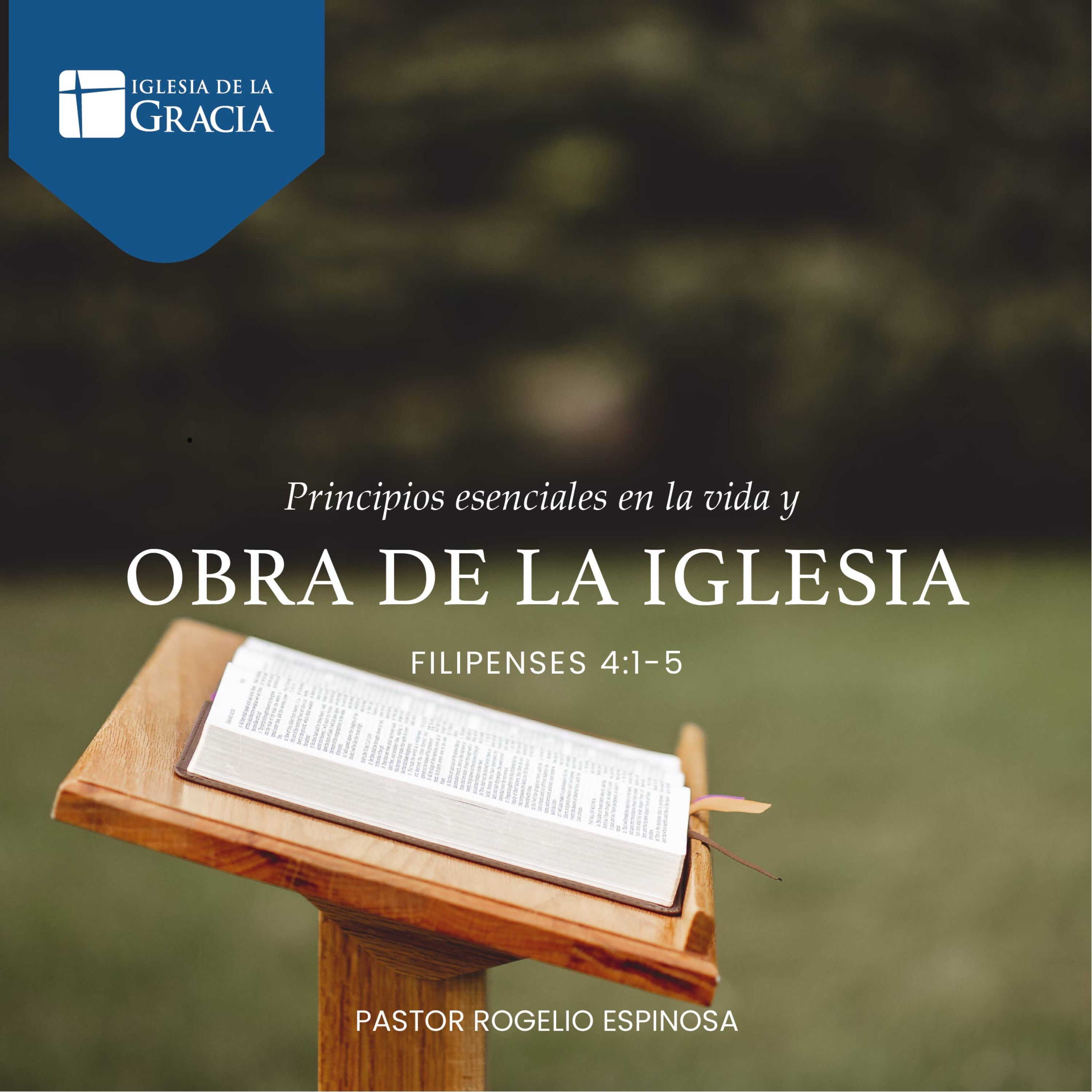Principios esenciales en la vida y obra de la Iglesia