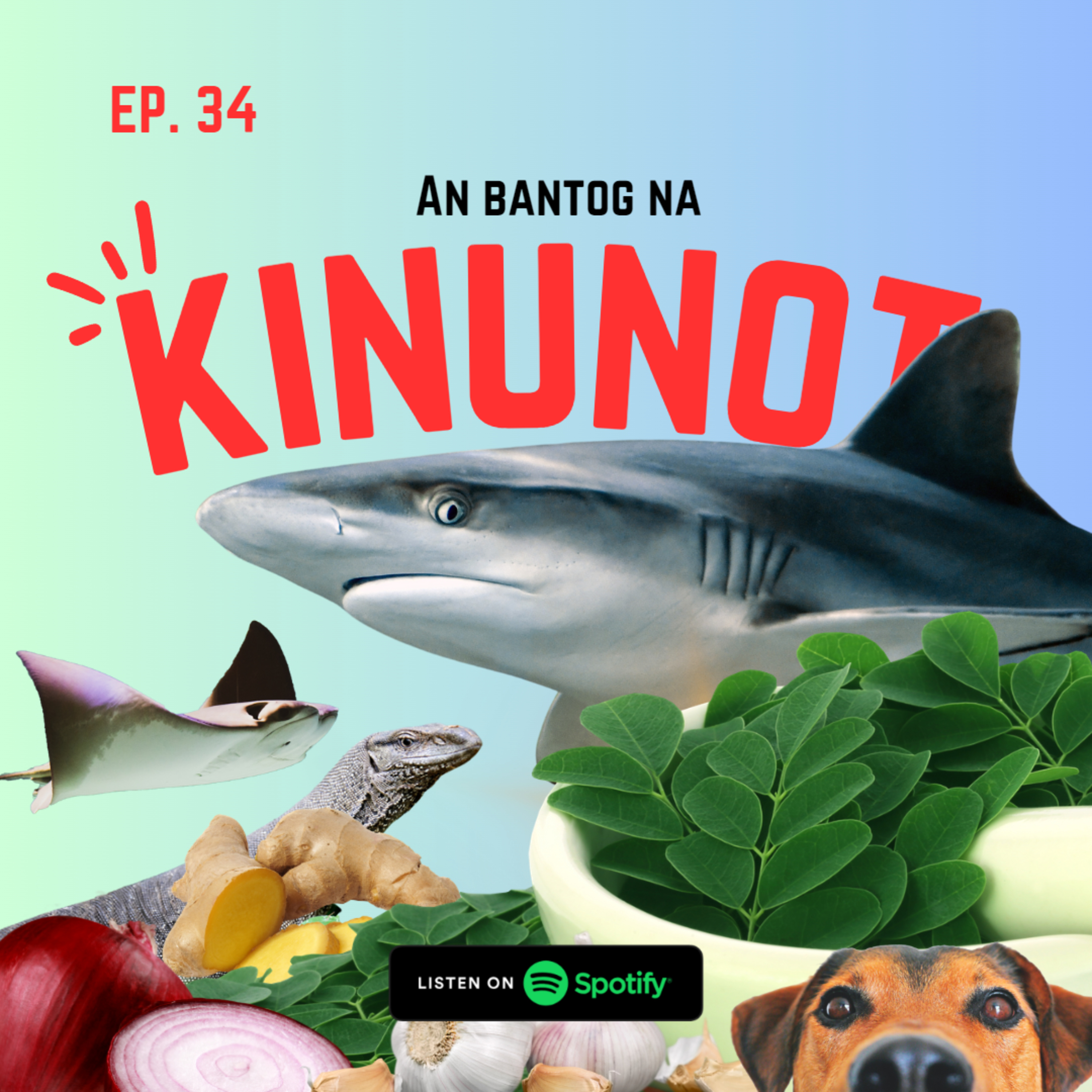 TAGA BIKOL