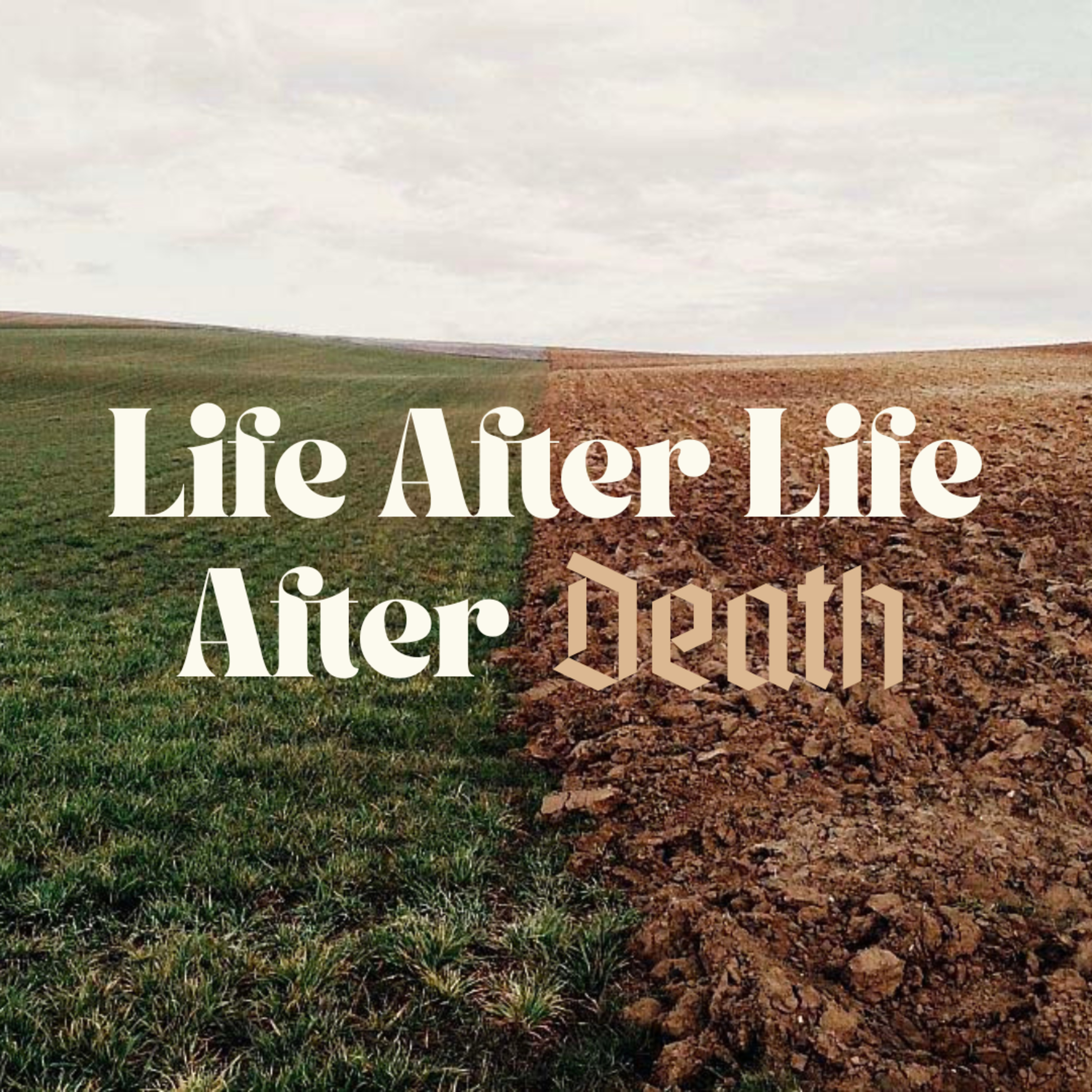 Life after Life after Death: Overcome by Rev. Dr. Peter Choi