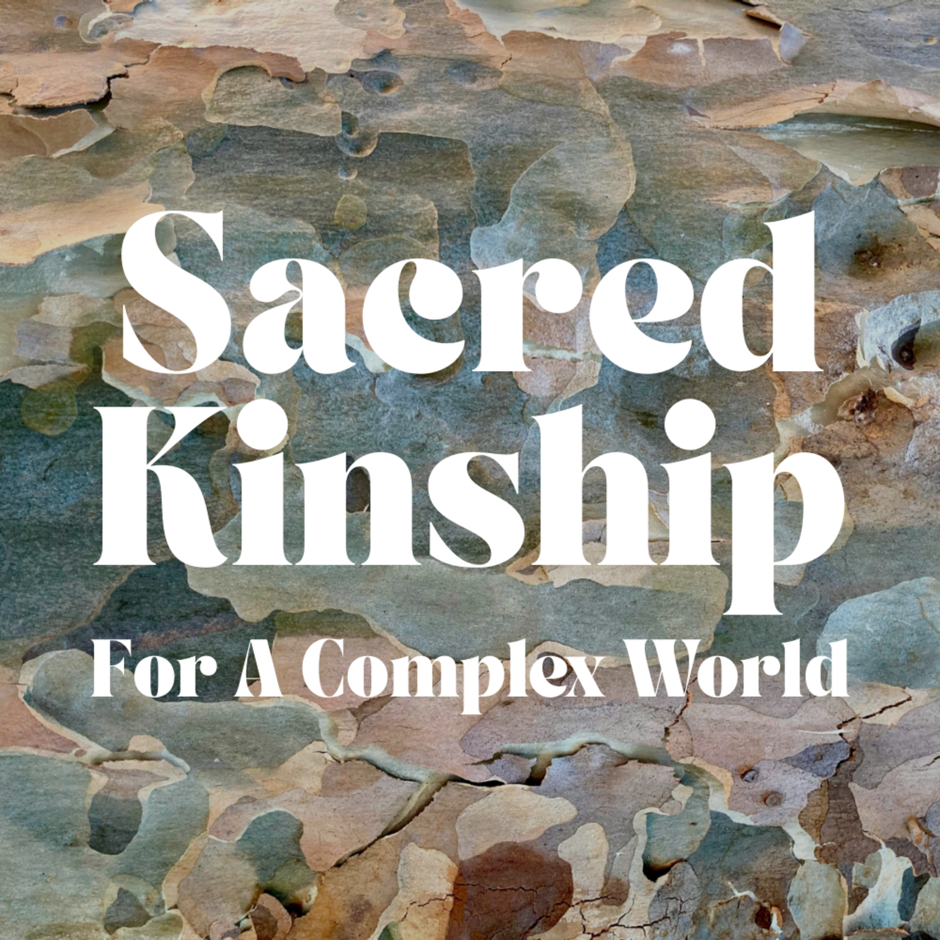 Unmasking Jesus: Beyond the God We Project