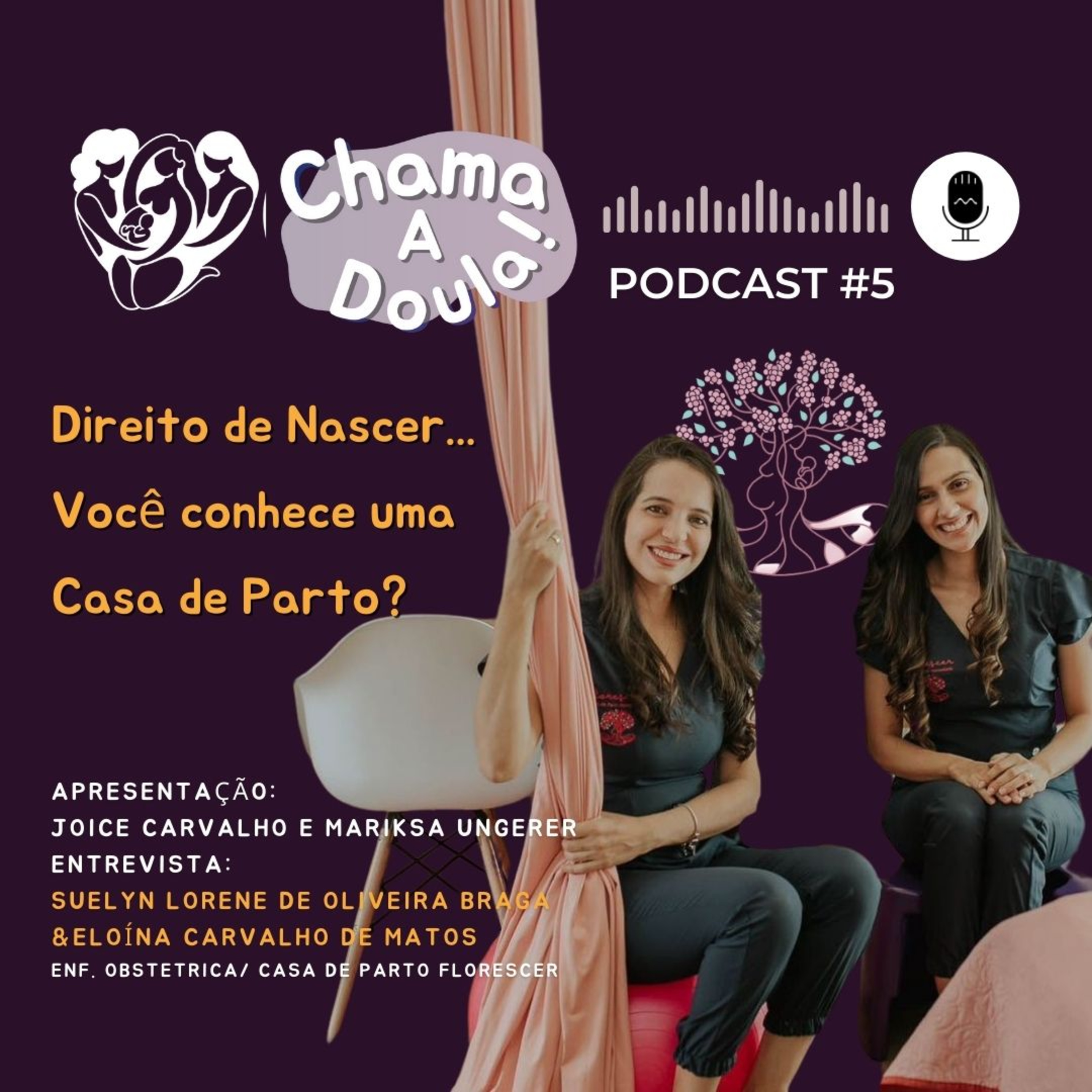 Papo de Gestação - Parto e Pós Parto - Seu guia na Jornada da Maternidade Real