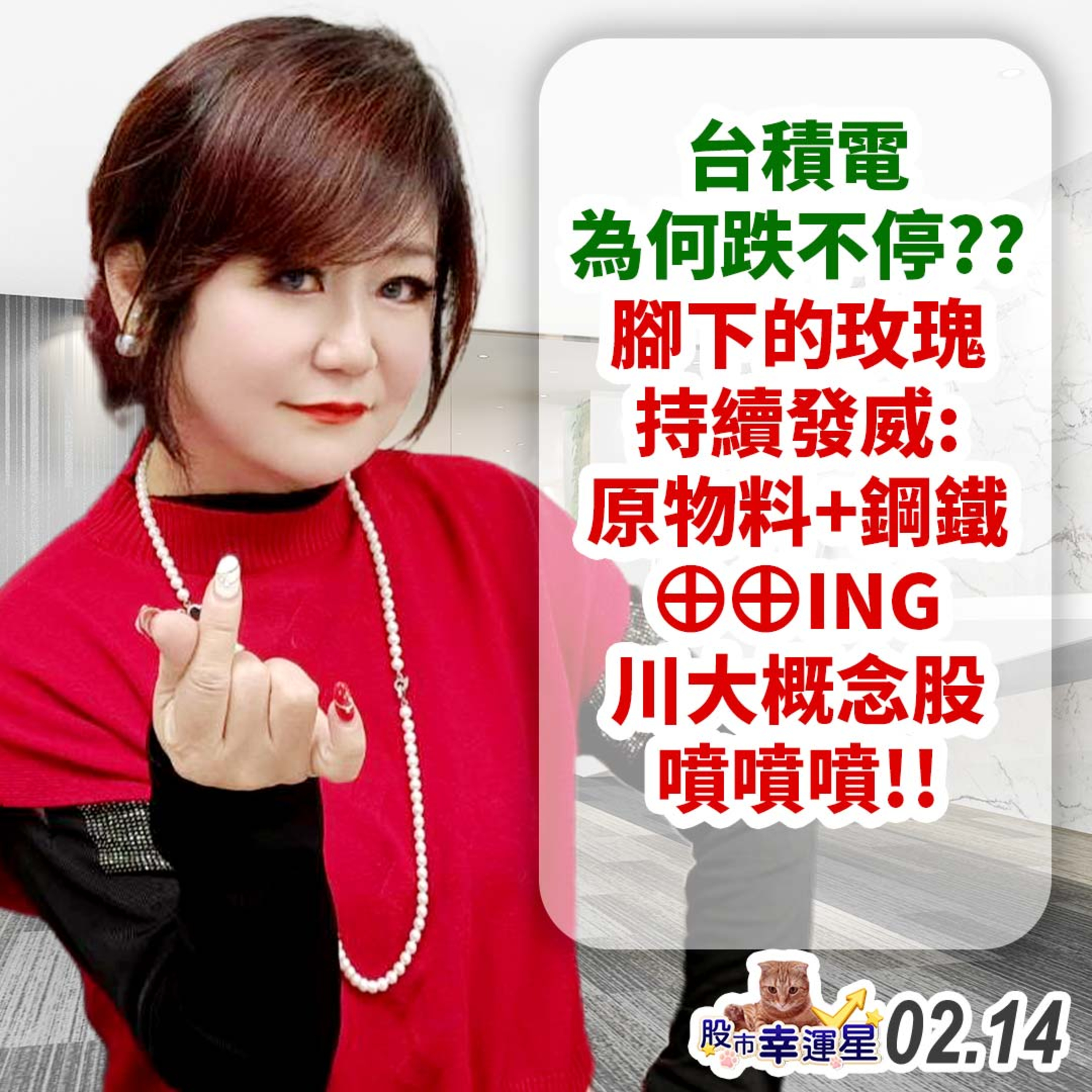 台積電為何跌不停??腳下的玫瑰持續發威:原物料+鋼鐵⊕⊕ING 川大概念股噴噴噴!!|2025/02/14|股市幸運星 林幸蓉 episode artwork