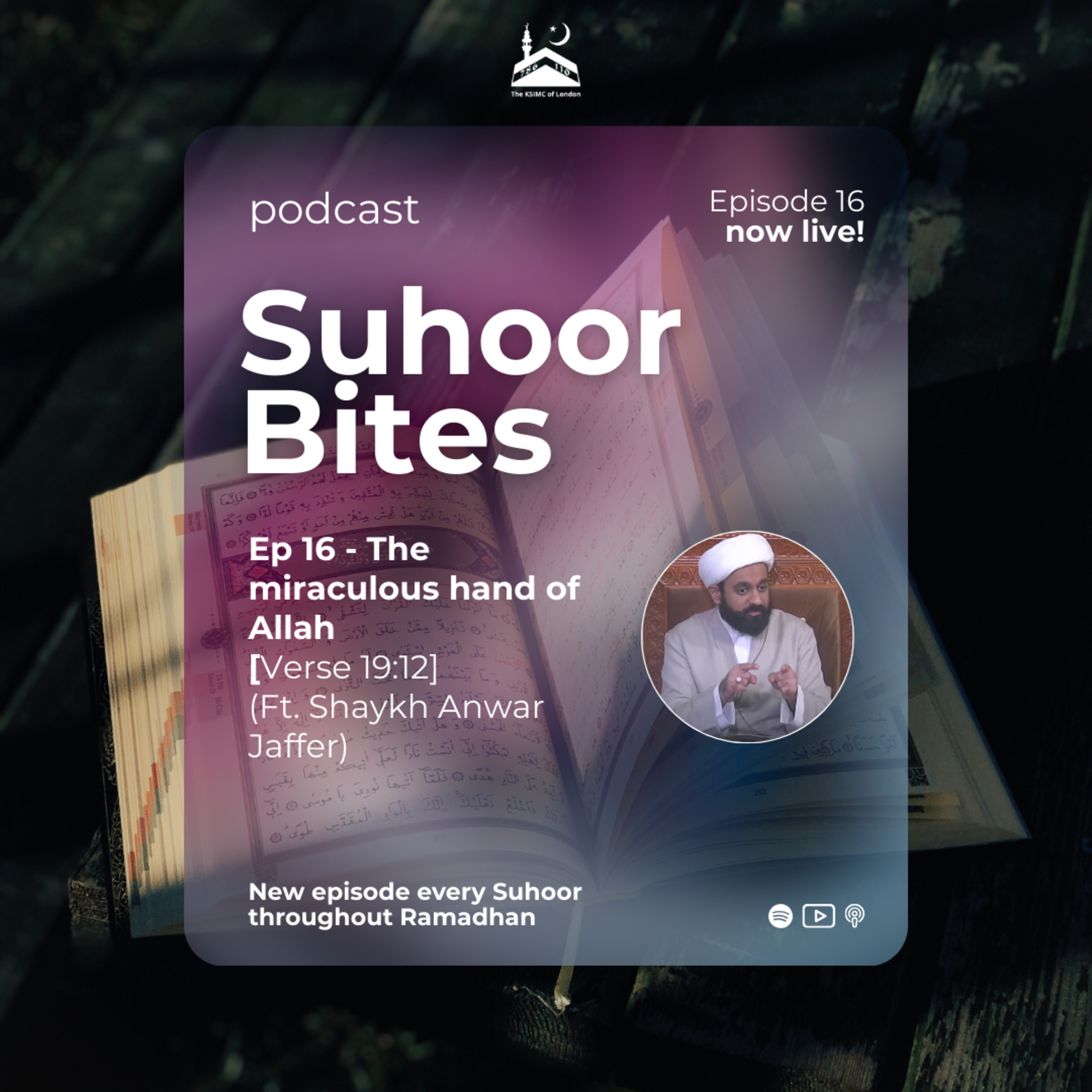 Ep 16 - The miraculous hand of Allah [Verse 19:12] ft. Shaykh Anwar Jaffer episode artwork