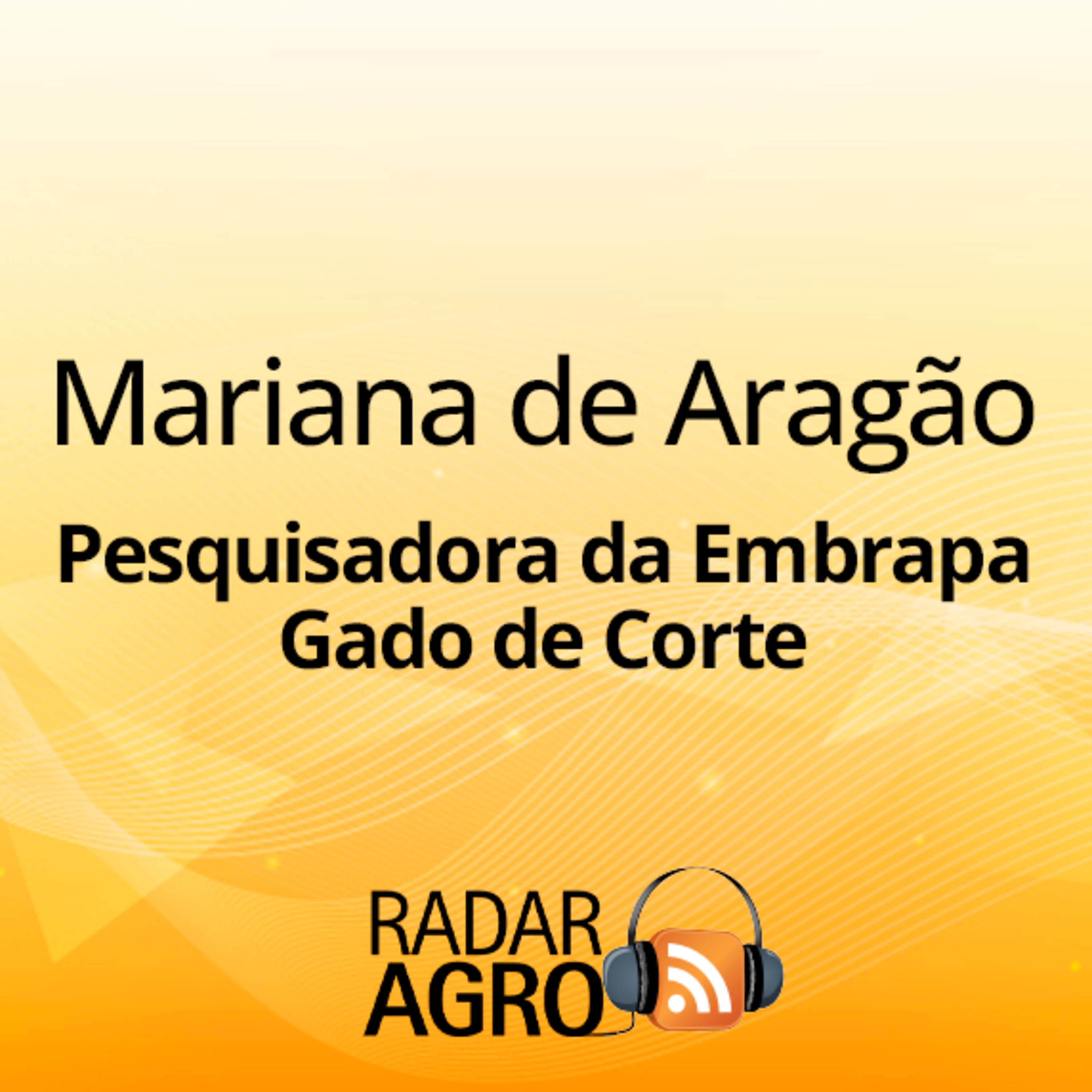 Pecuária sustentável em pauta na pré-COP da Dinapec | Fala Carlão episode artwork