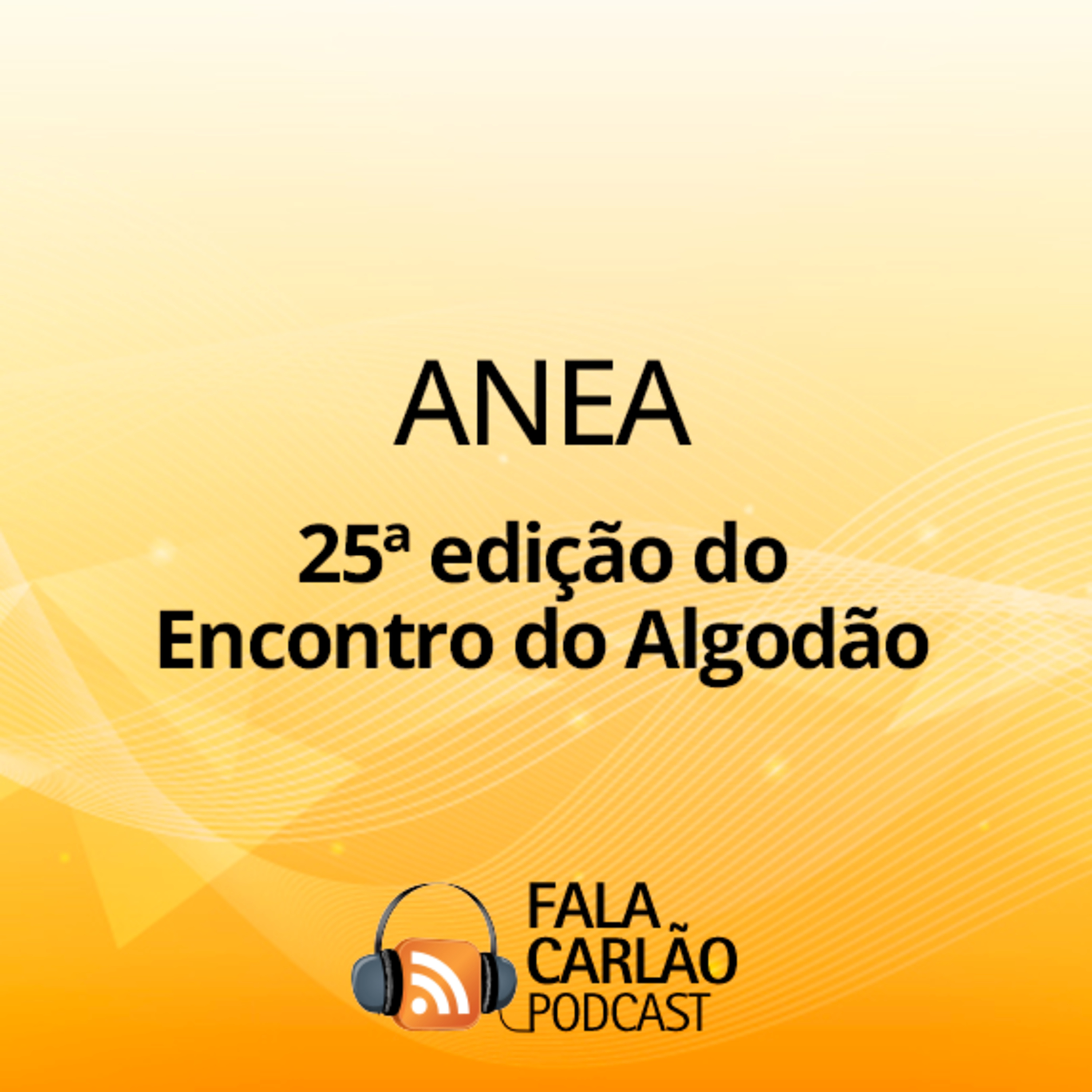 25 anos de ANEA e os desafios estratégicos da cotonicultura | Fala Carlão 